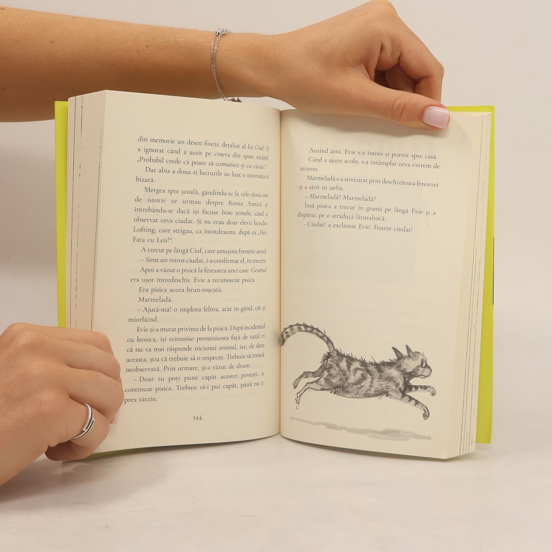 Matt Haig Evie și Animalele