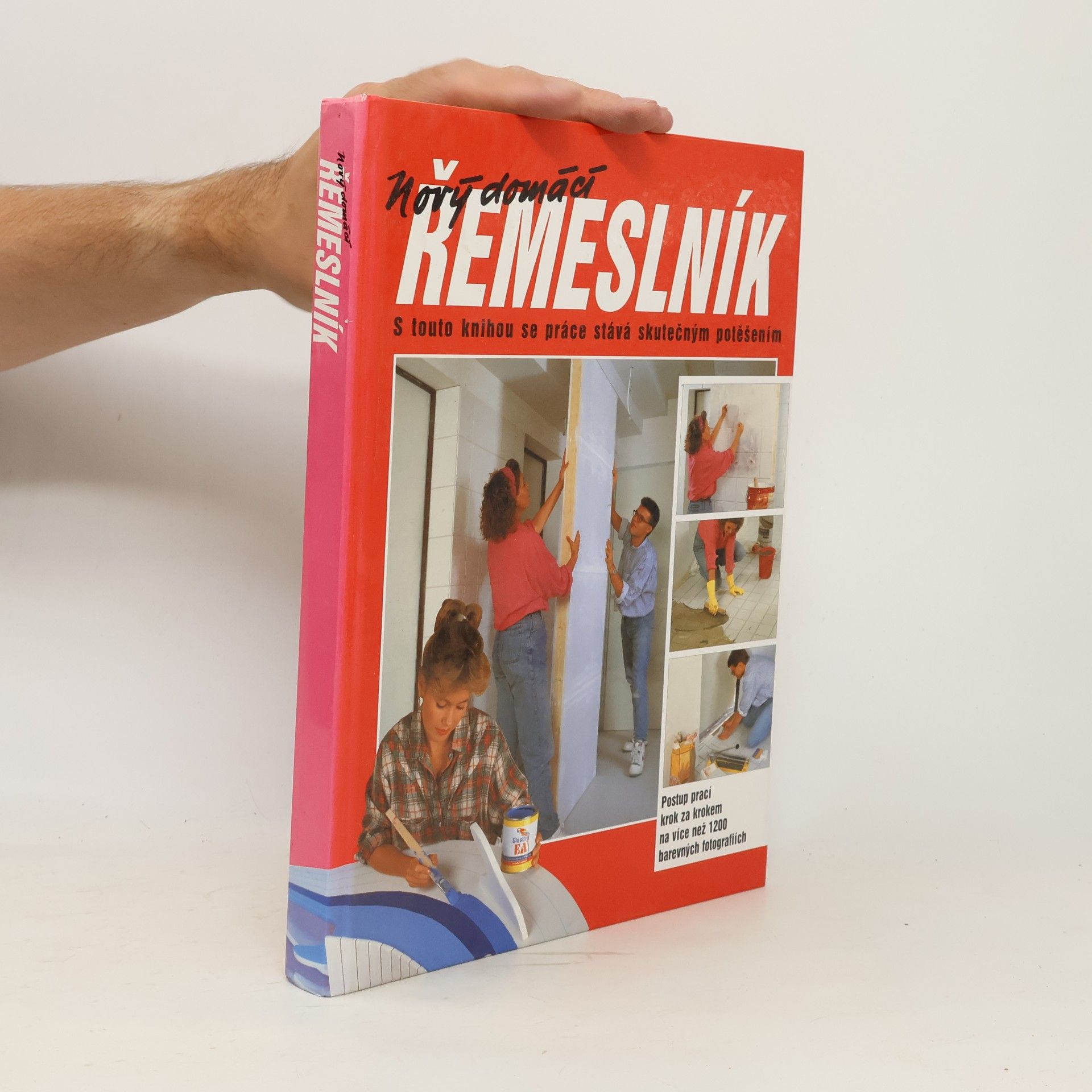 Dieter Rex Nový domácí řemeslník