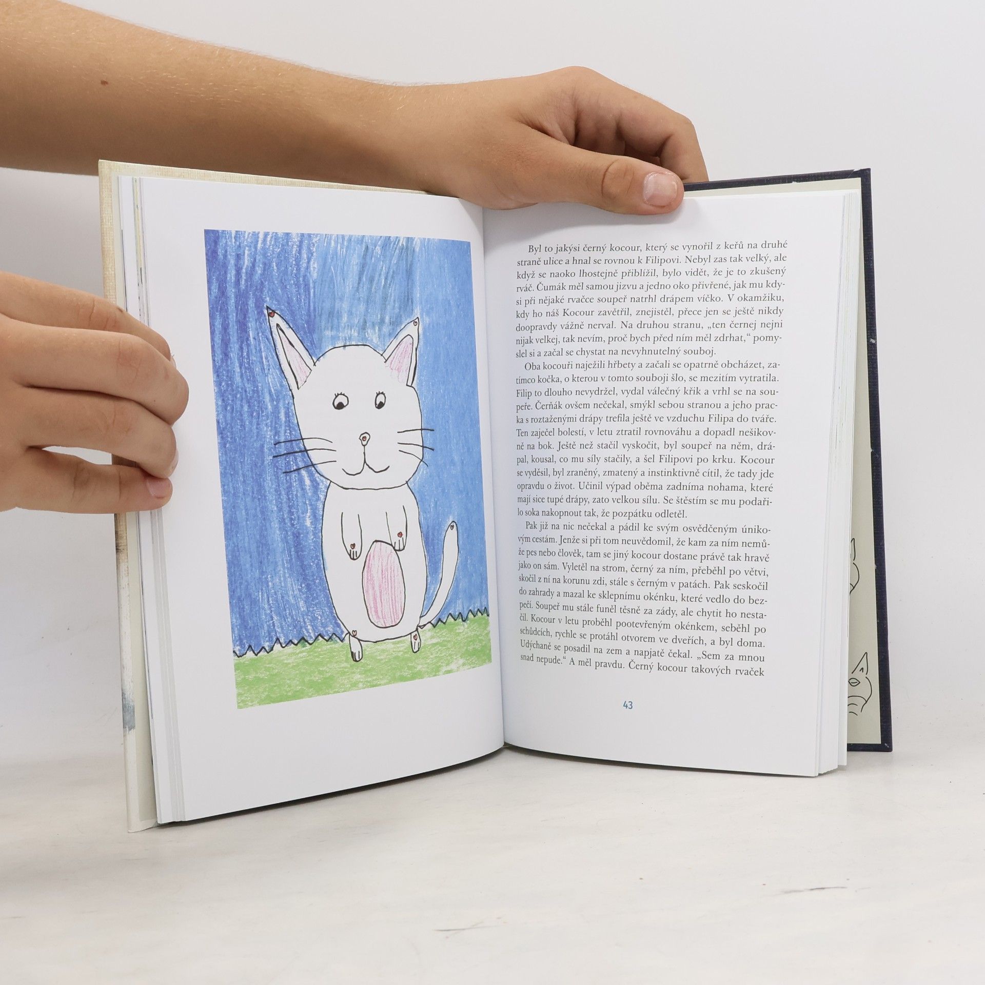Pavel Mirovský Kocour