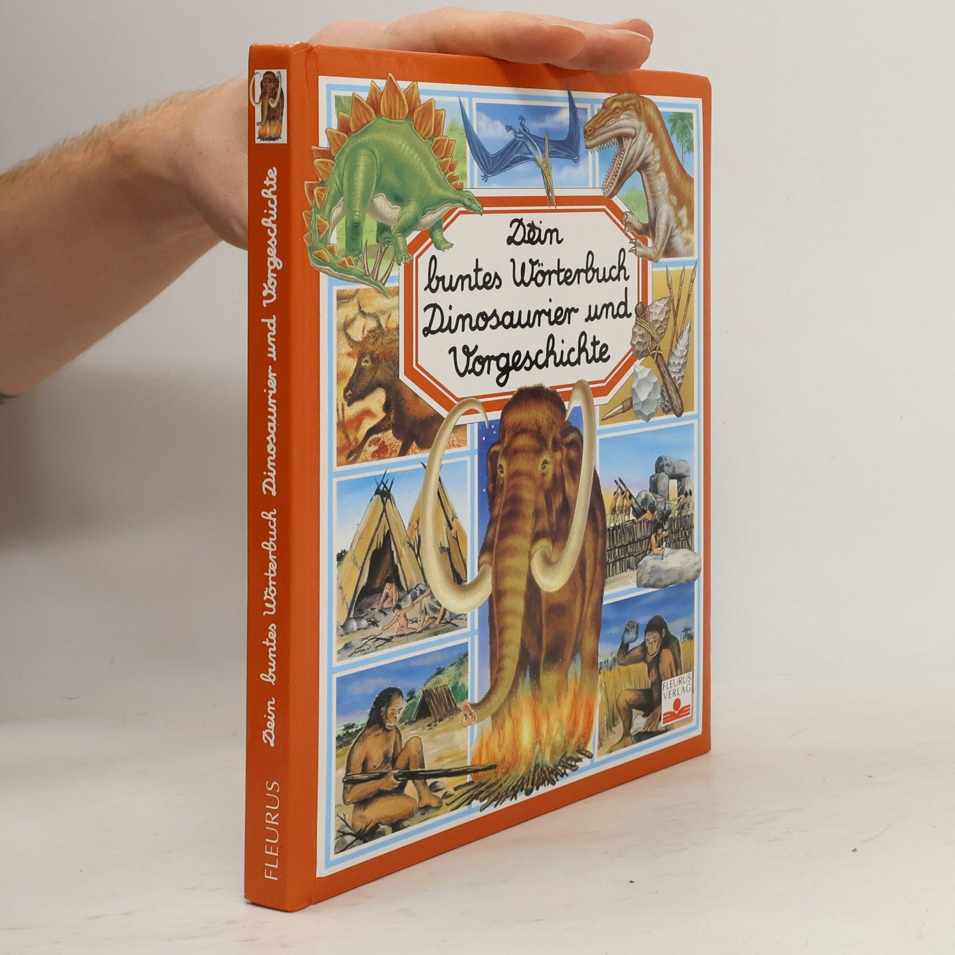 Émilie Beaumont Dein buntes Wörterbuch Dinosaurier und Vorgeschichte