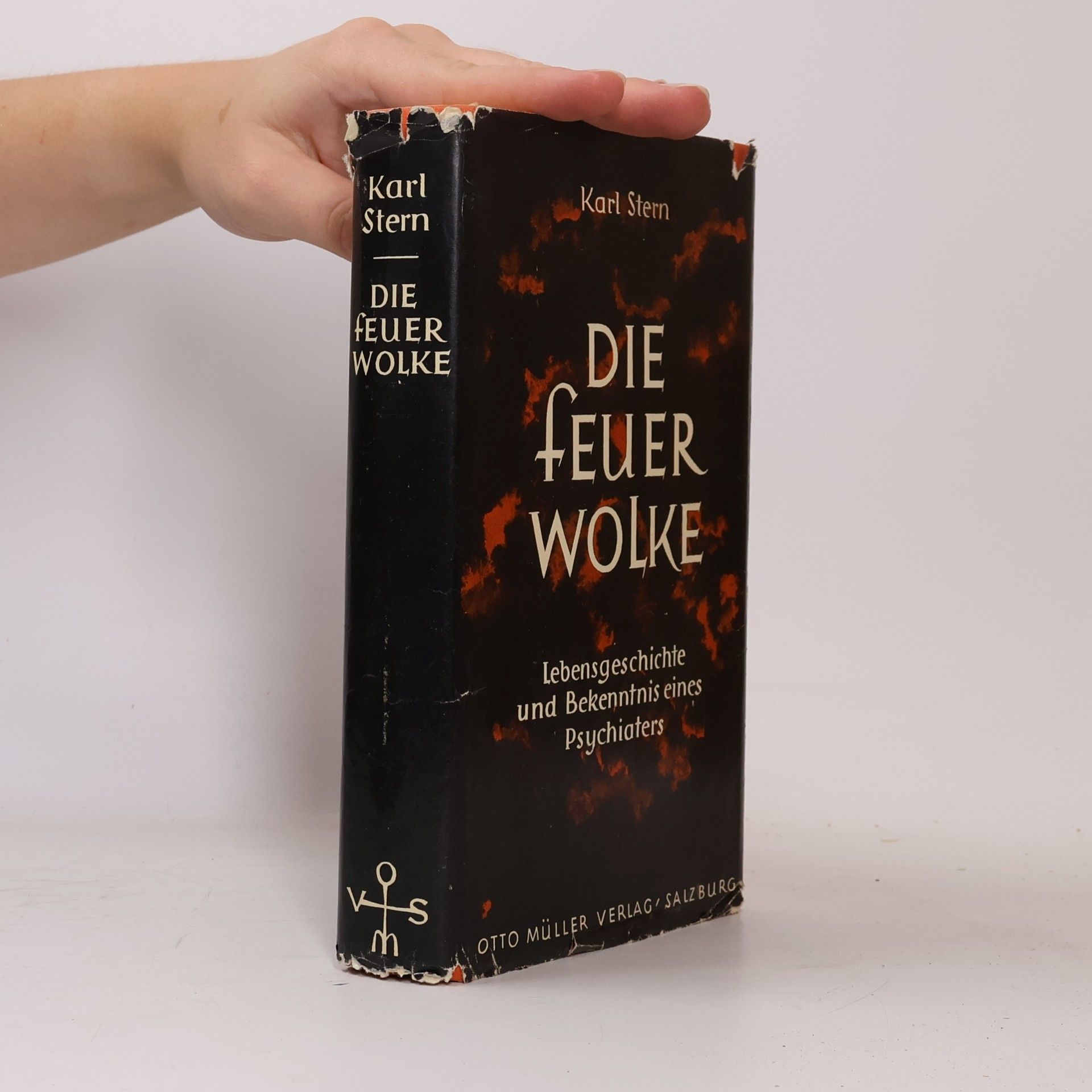 Karl Stern Die Feuerwolke