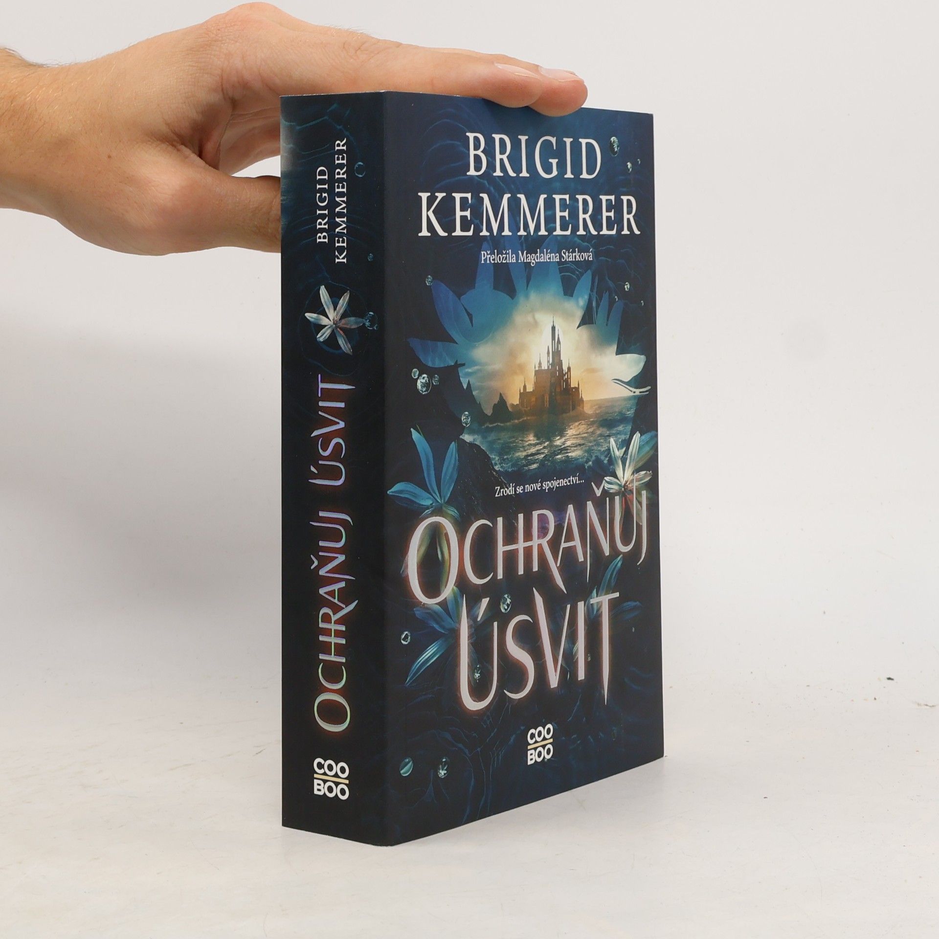 Brigid Kemmerer Ochraňuj úsvit