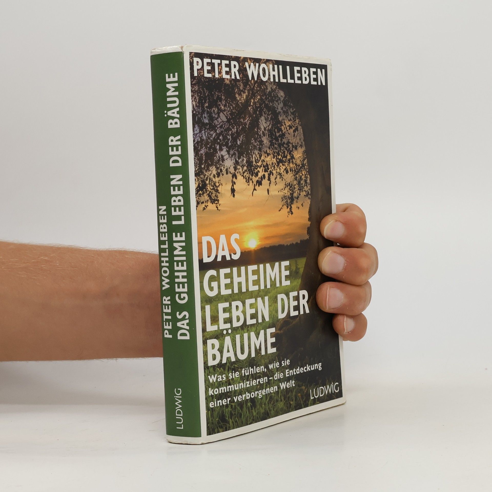Peter Wohlleben Das geheime Leben der Bäume