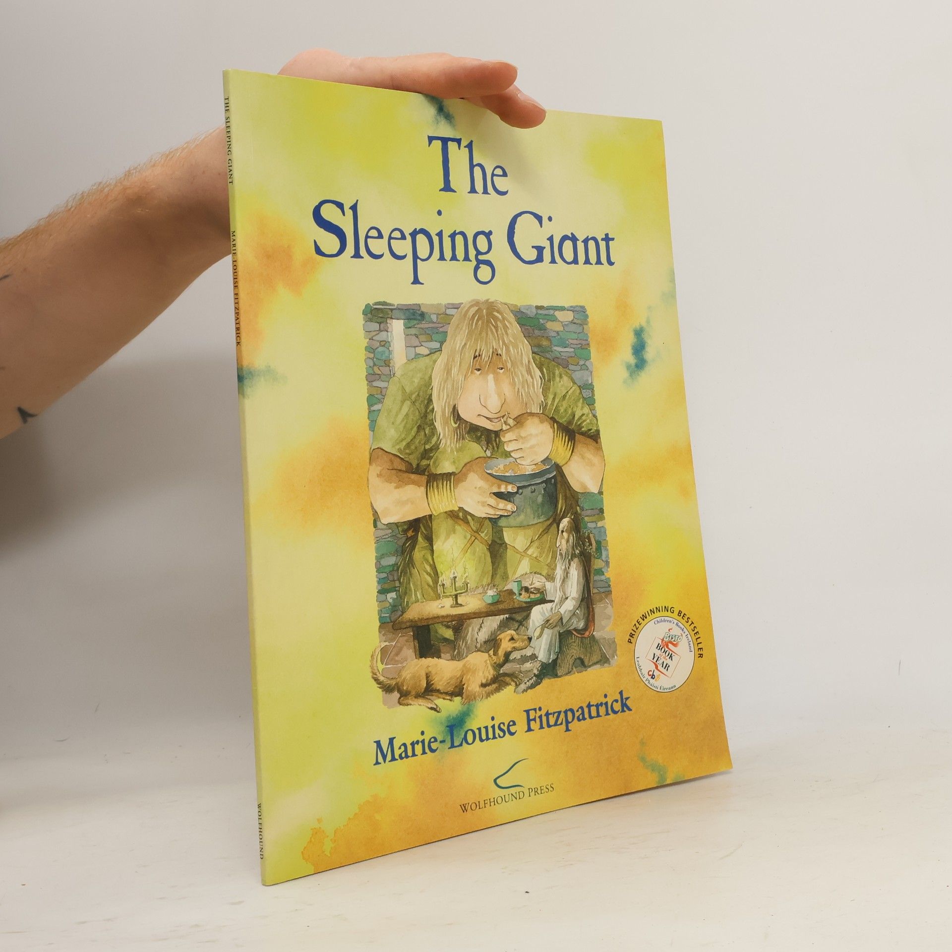 Marie-Louise Fitzpatrick The Sleeping Giant