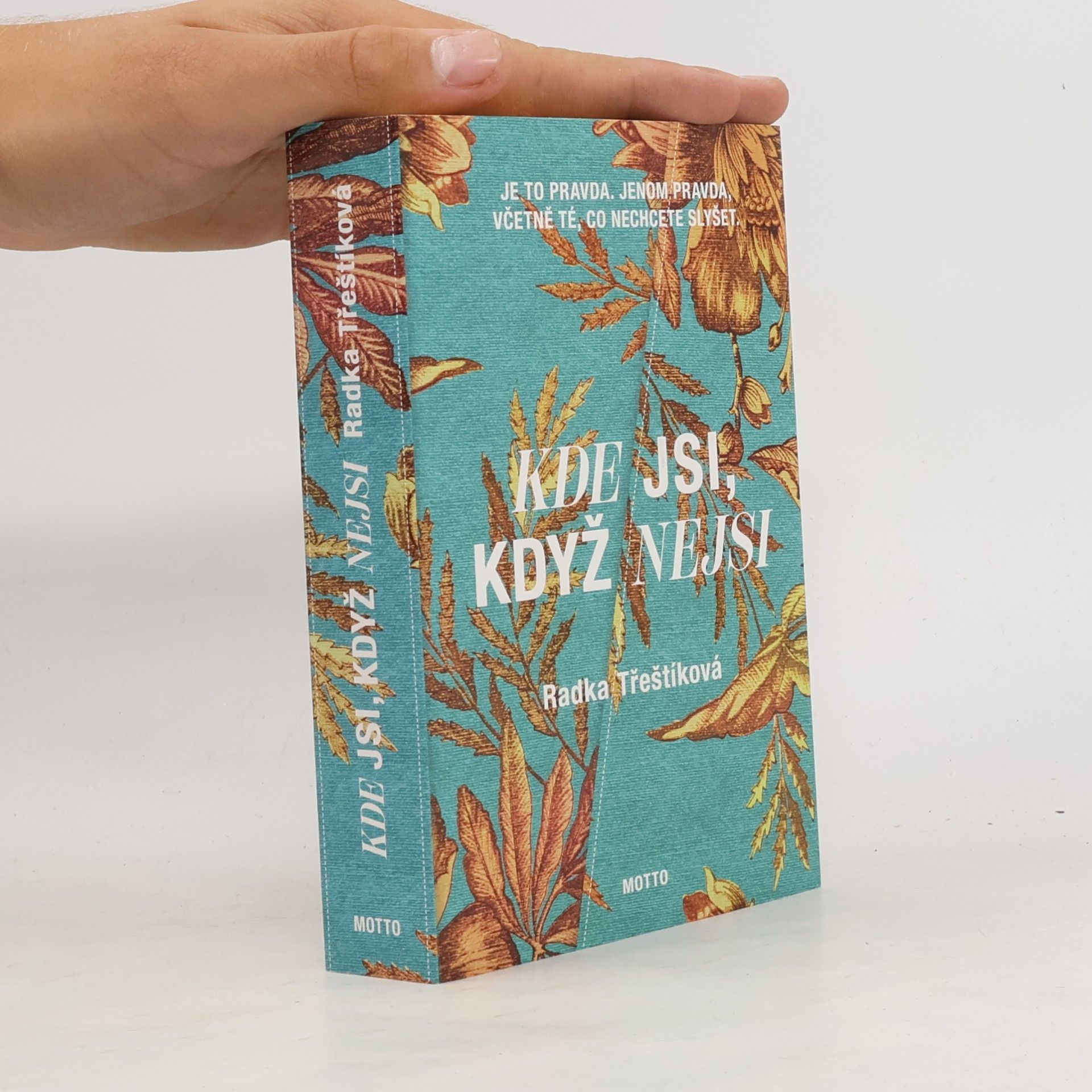 Radka Třeštíková Kde jsi, když nejsi