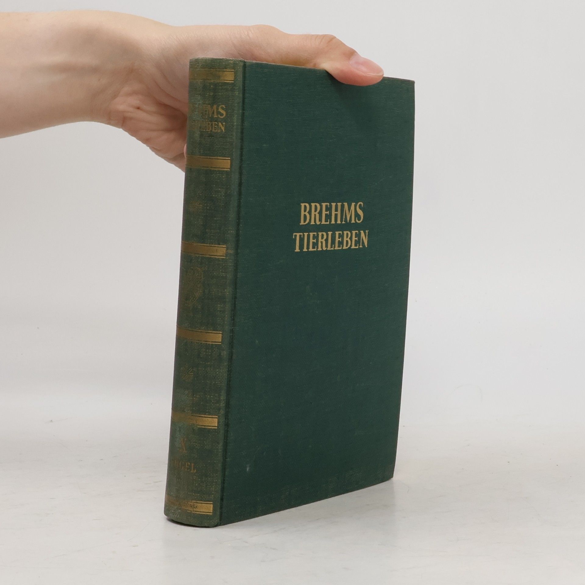 Wilhelm Kuhnert Brehms Tierleben 10. Vögel V