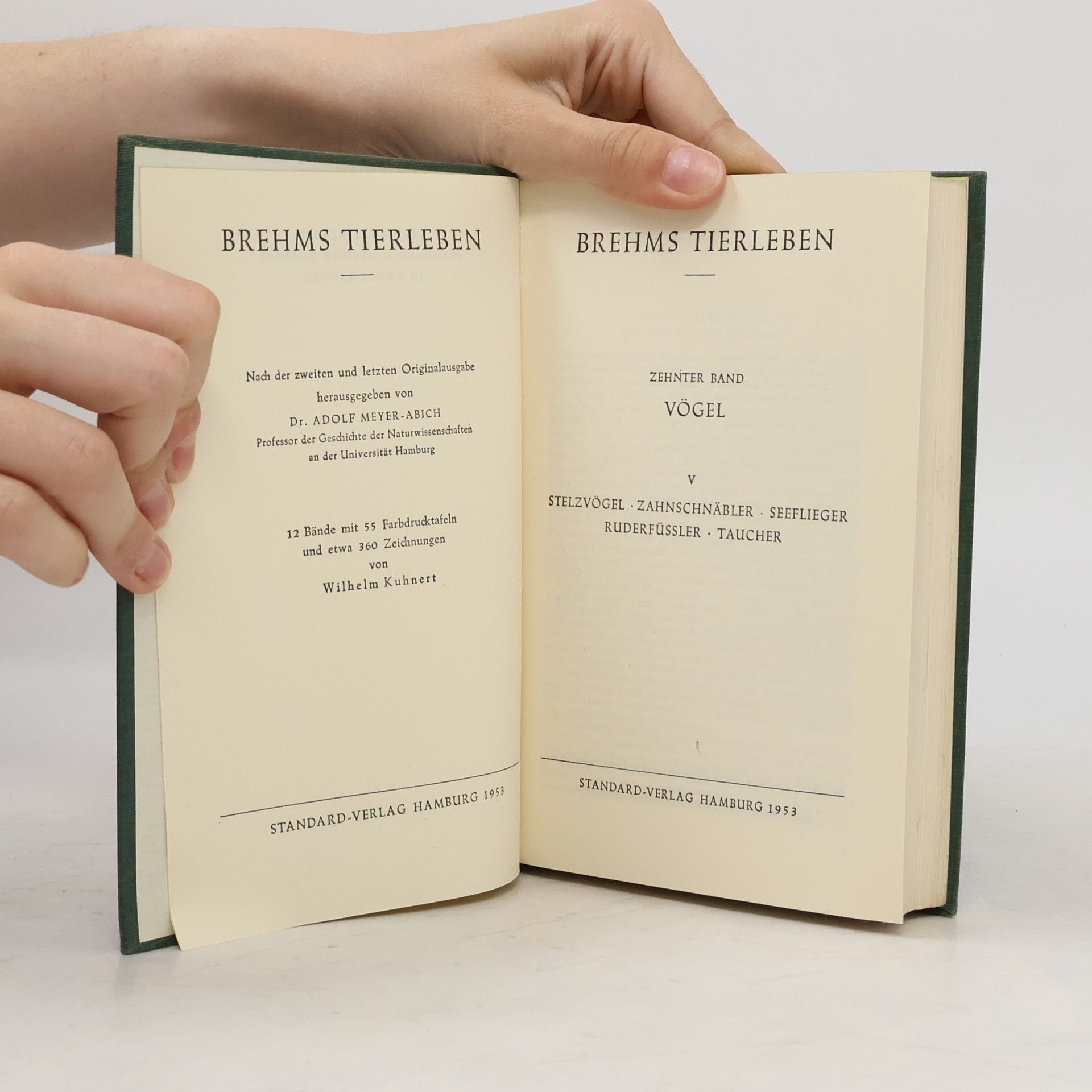 Adolf Meyer Abich Brehms Tierleben 10. Vögel V