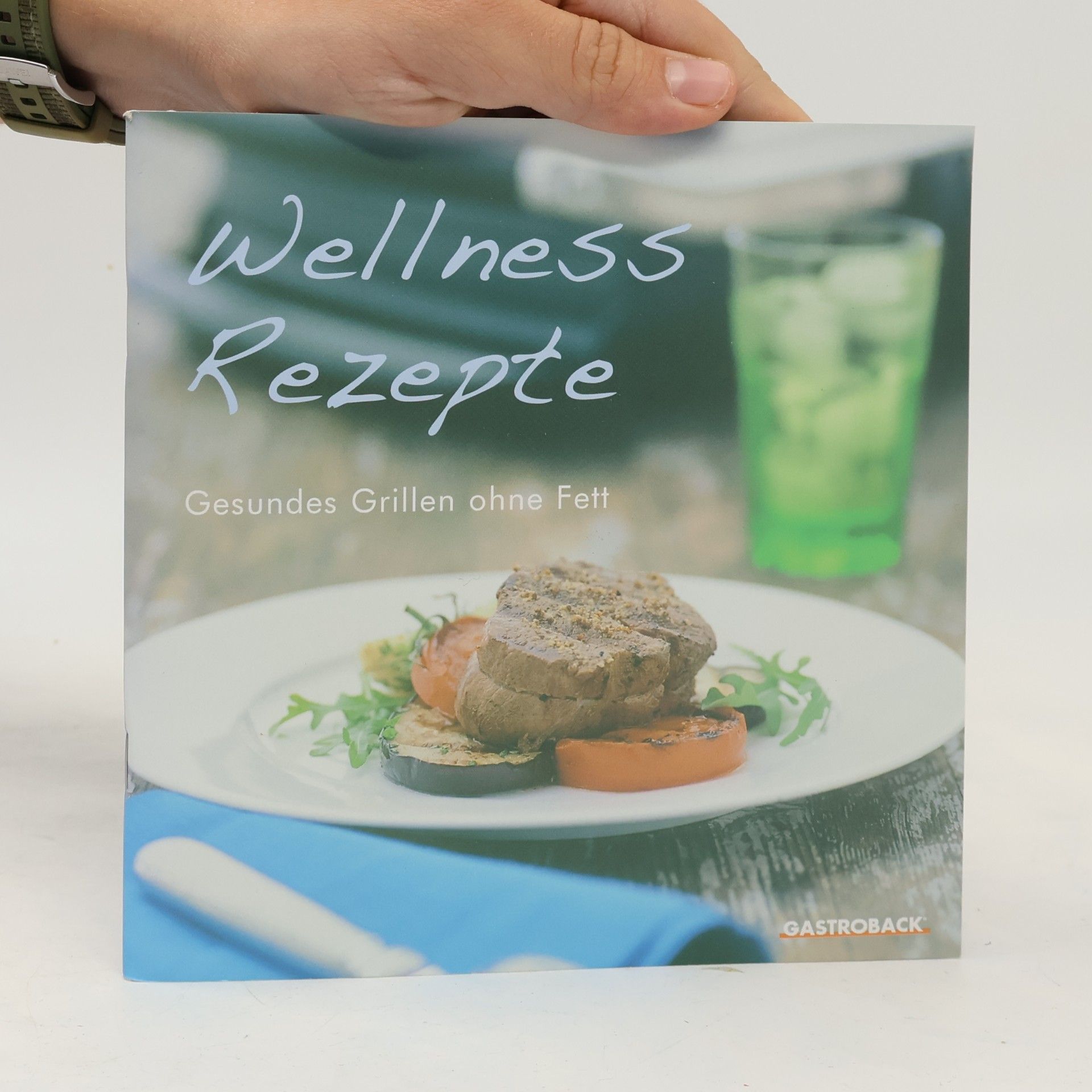 Kolektiv autorů Wellness Rezepte