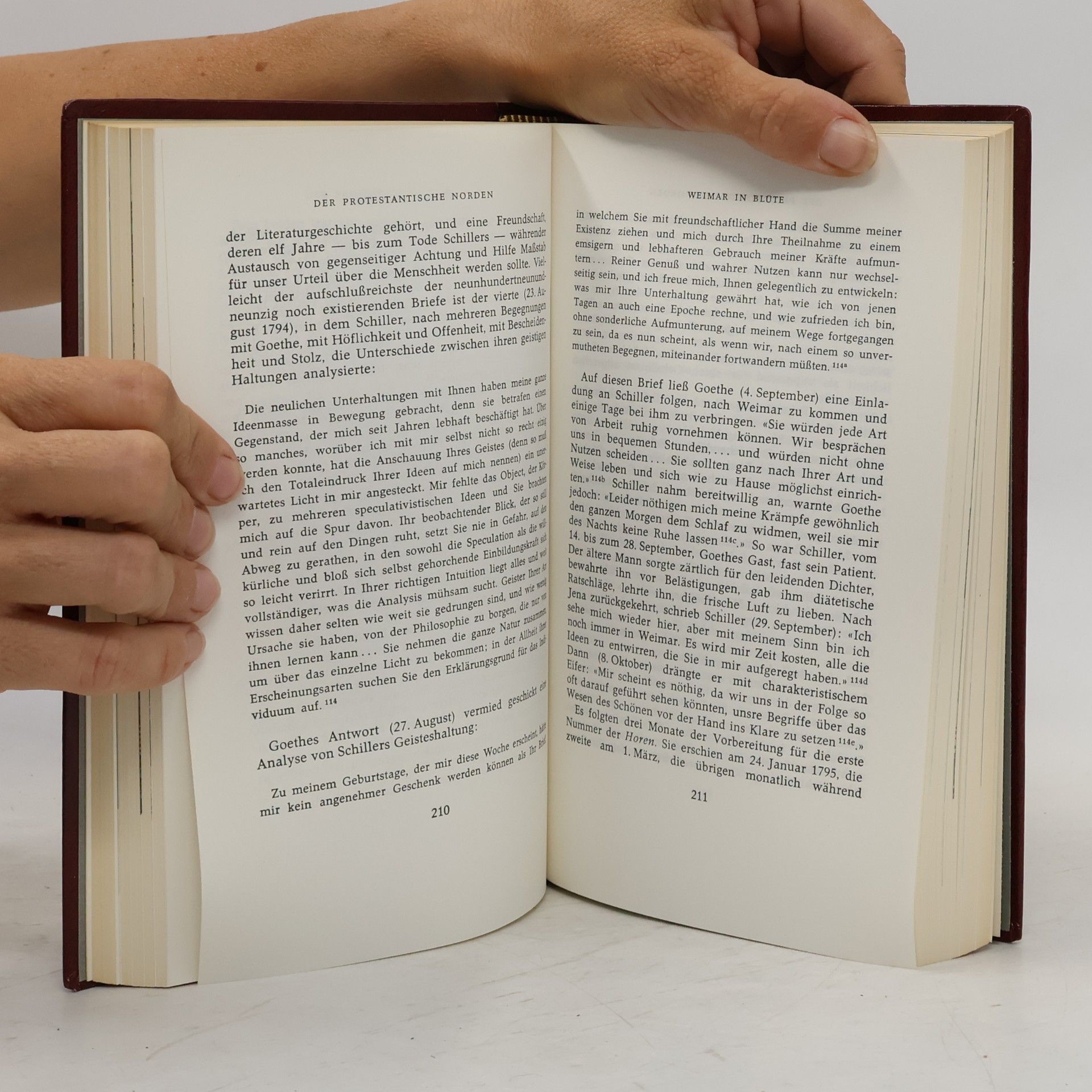 Will Durant Kulturgeschichte der Menschheit 31. Rousseau und die Französische Revolution