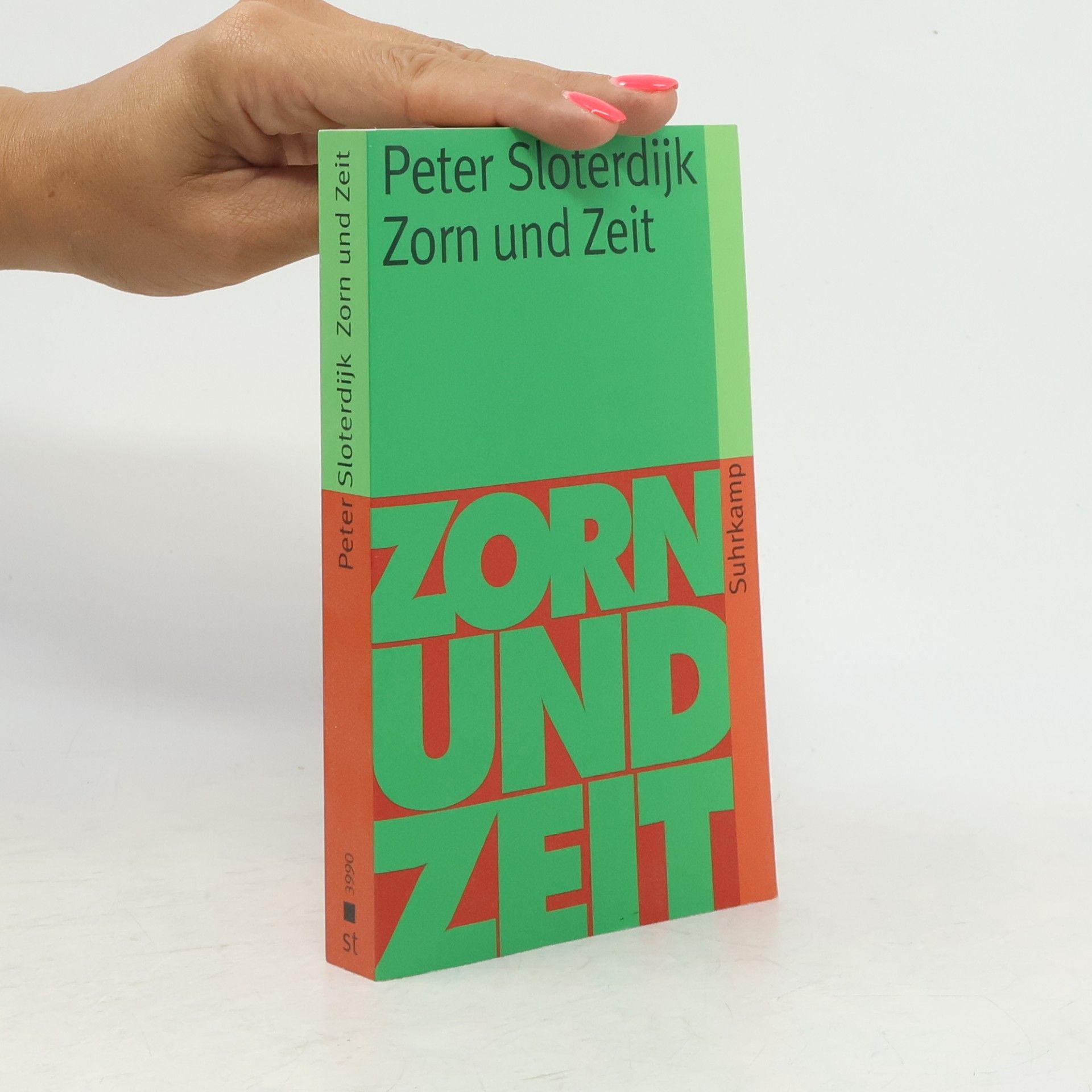 Peter Sloterdijk Zorn und Zeit