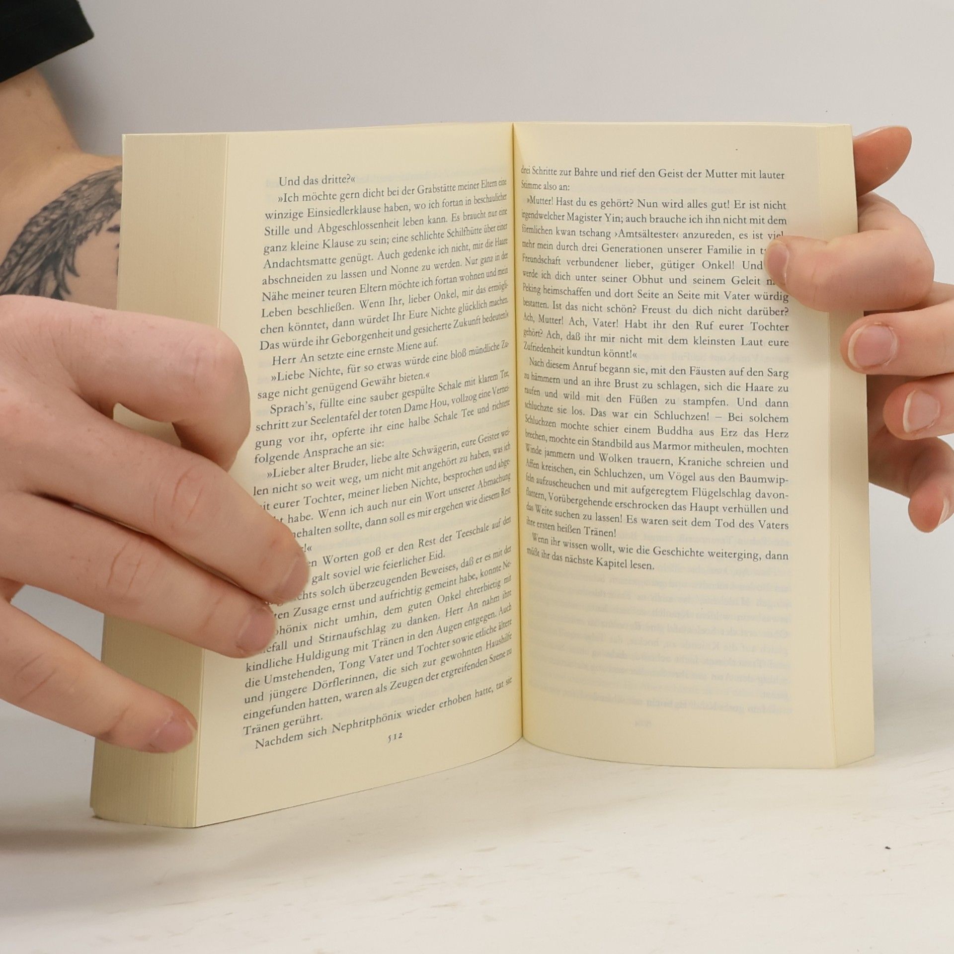 Wen Kang Die schwarze Reiterin. Roman aus der Tsing-Zeit