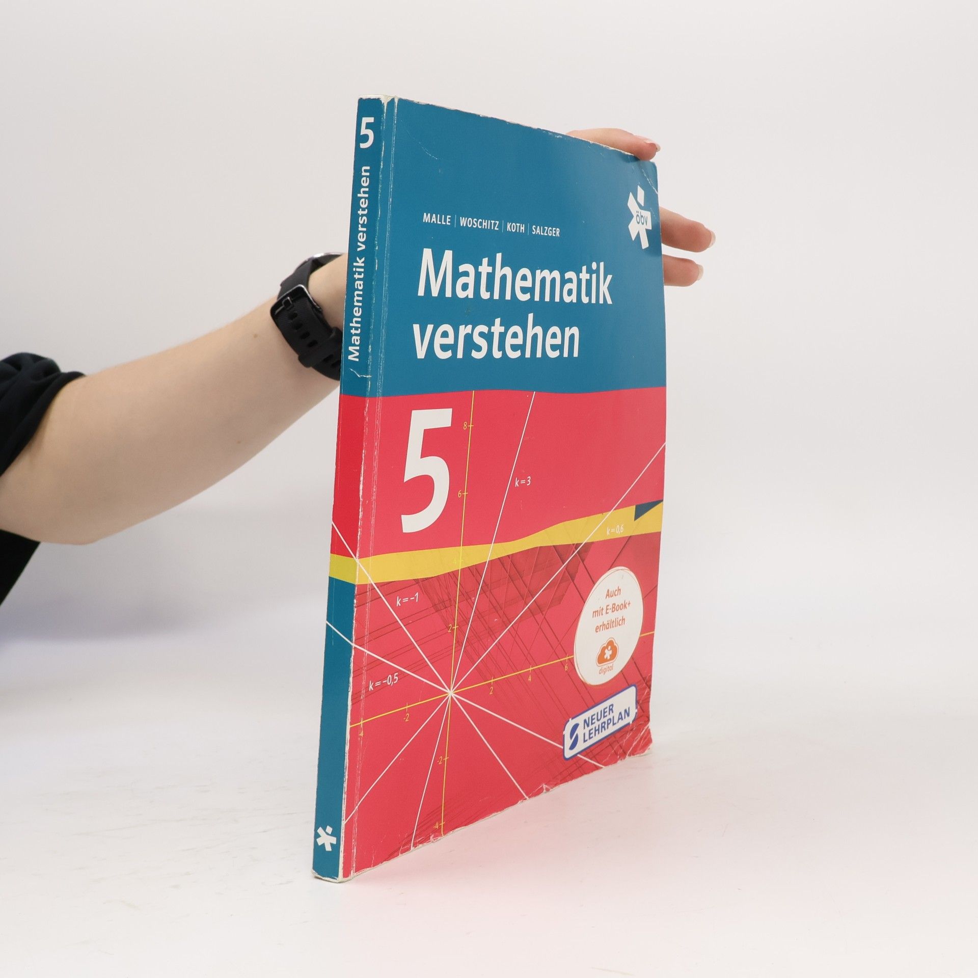 Günther Malle Mathematik verstehen 5