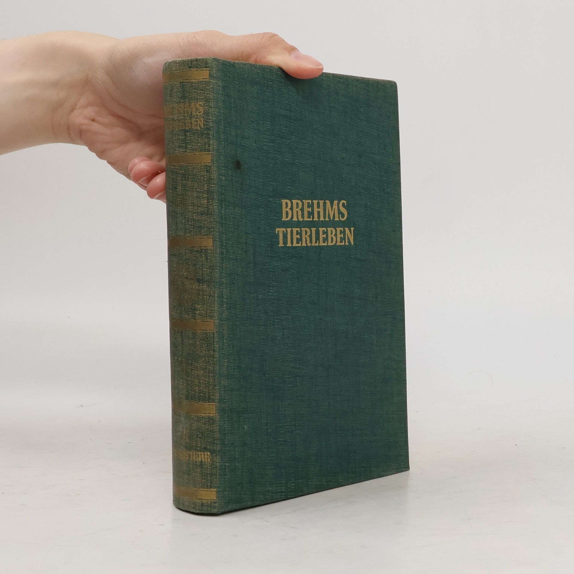 Adolf Meyer Abich Brehms Tierleben II. Säugetiere