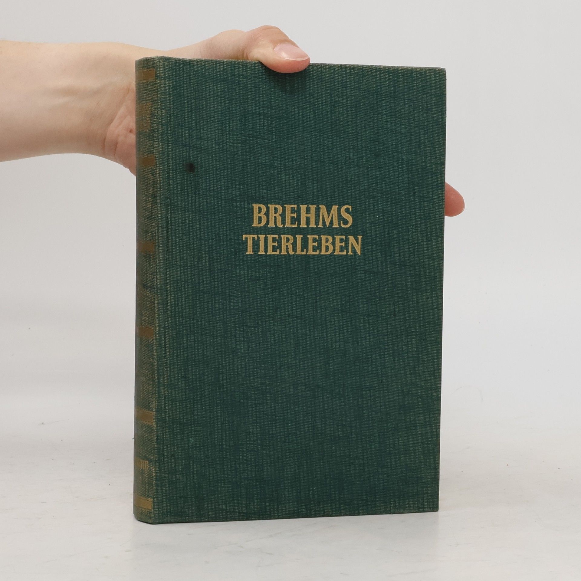 Adolf Meyer Abich Brehms Tierleben II. Säugetiere