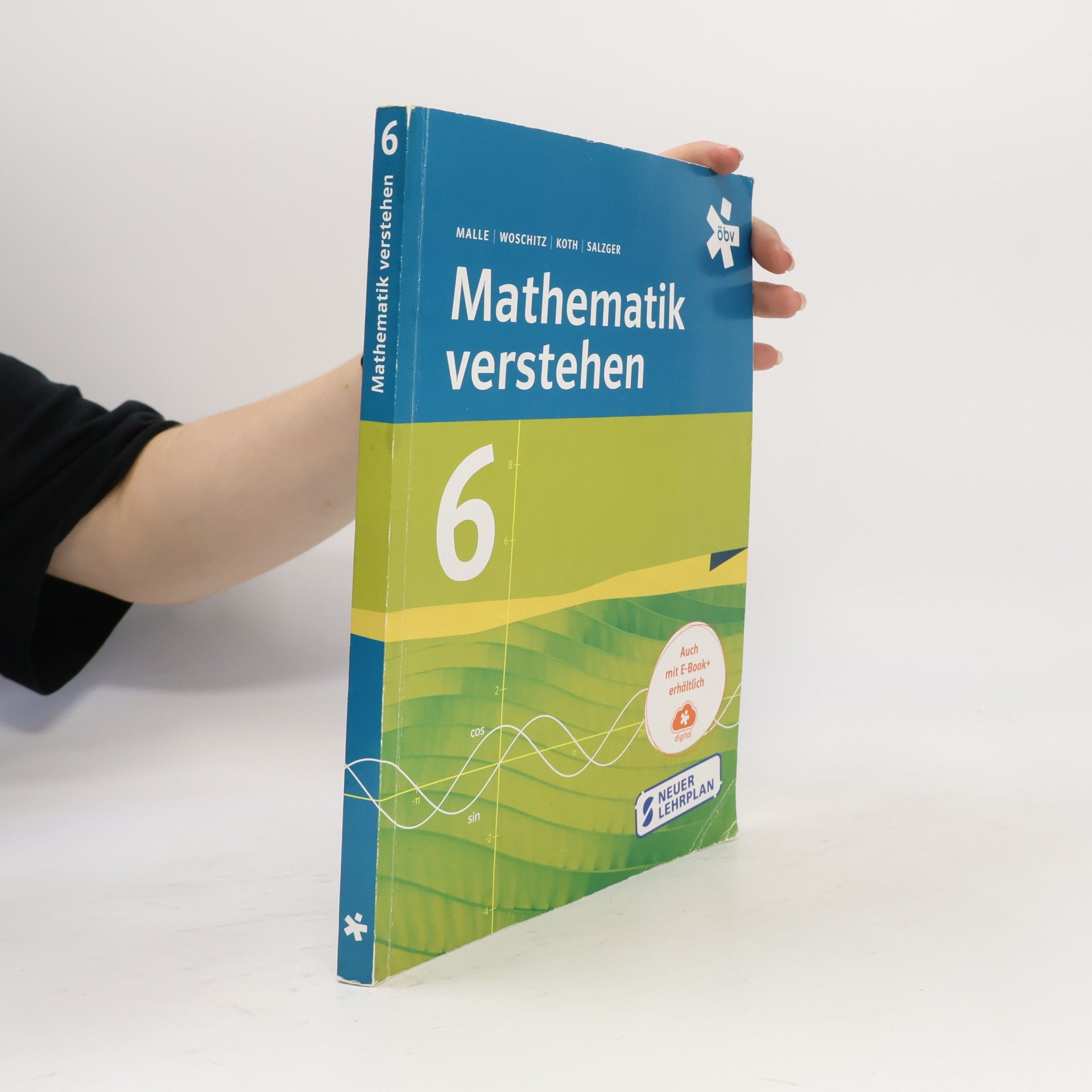 Autorenkollektiv Mathematik verstehen 6
