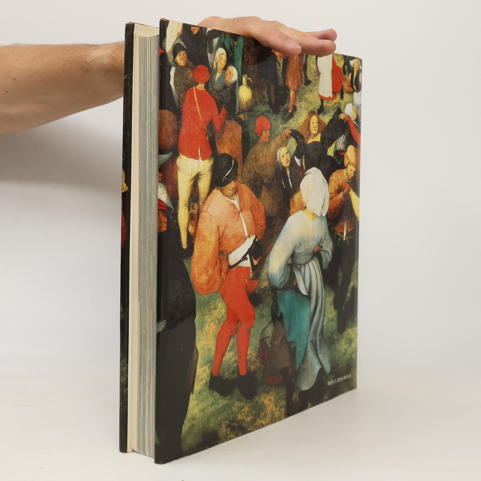 Pieter Bruegel starší Bruegel