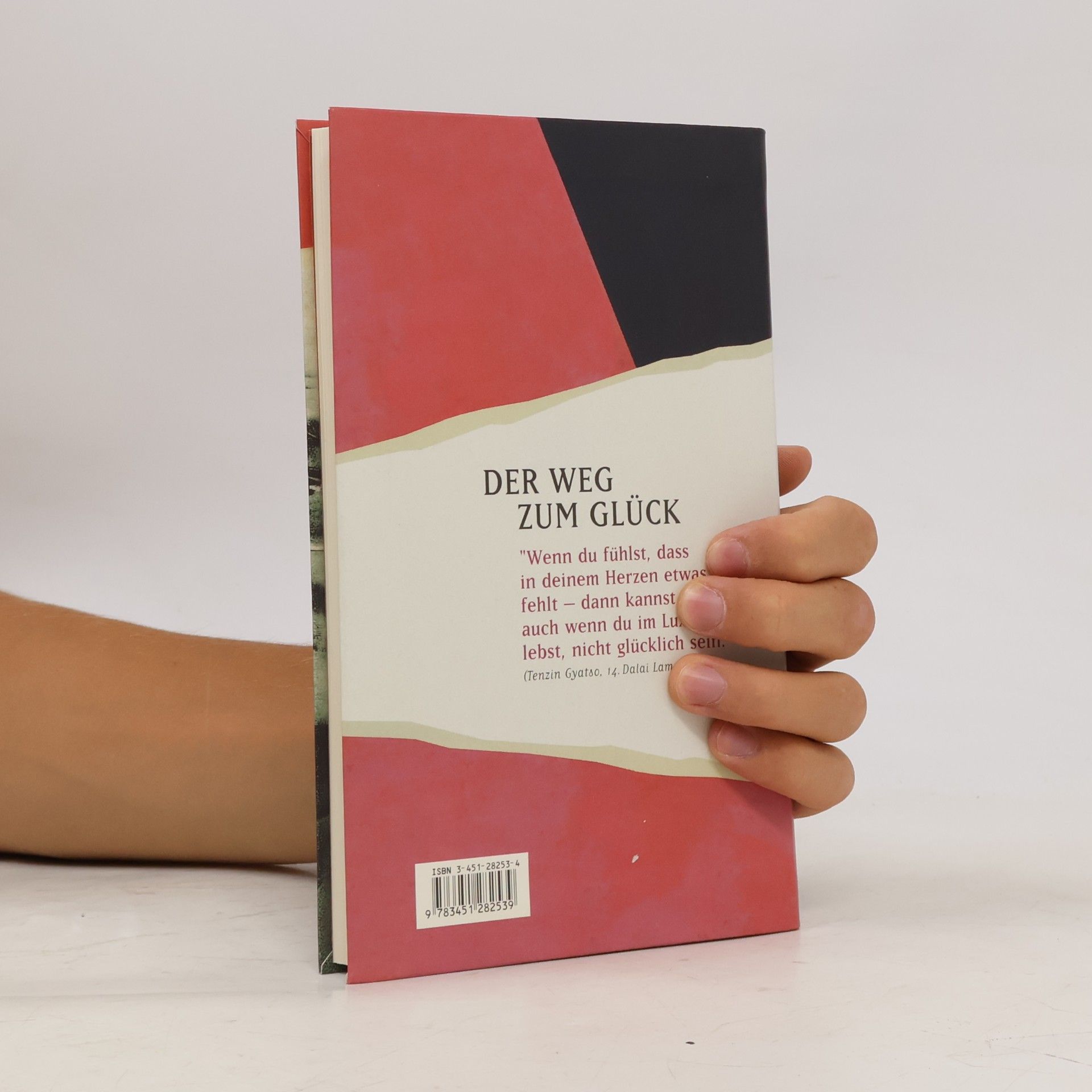 Bstan-vdzin-rgya-mtsho Der Weg zum Glück