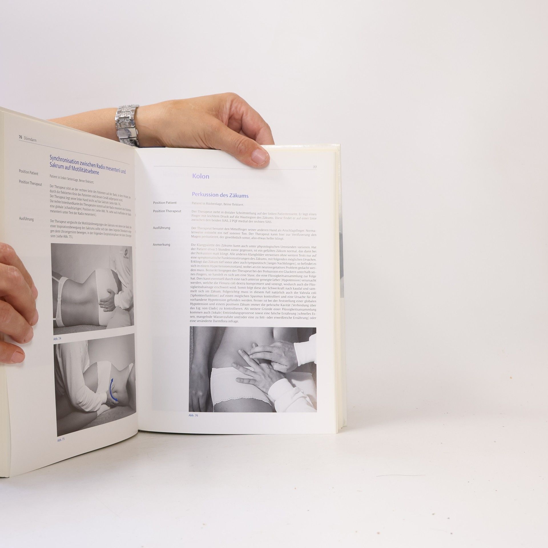 Luc Fieuw Osteopathische Techniken im viszeralen Bereich - Lehrbuch mit CD-ROM