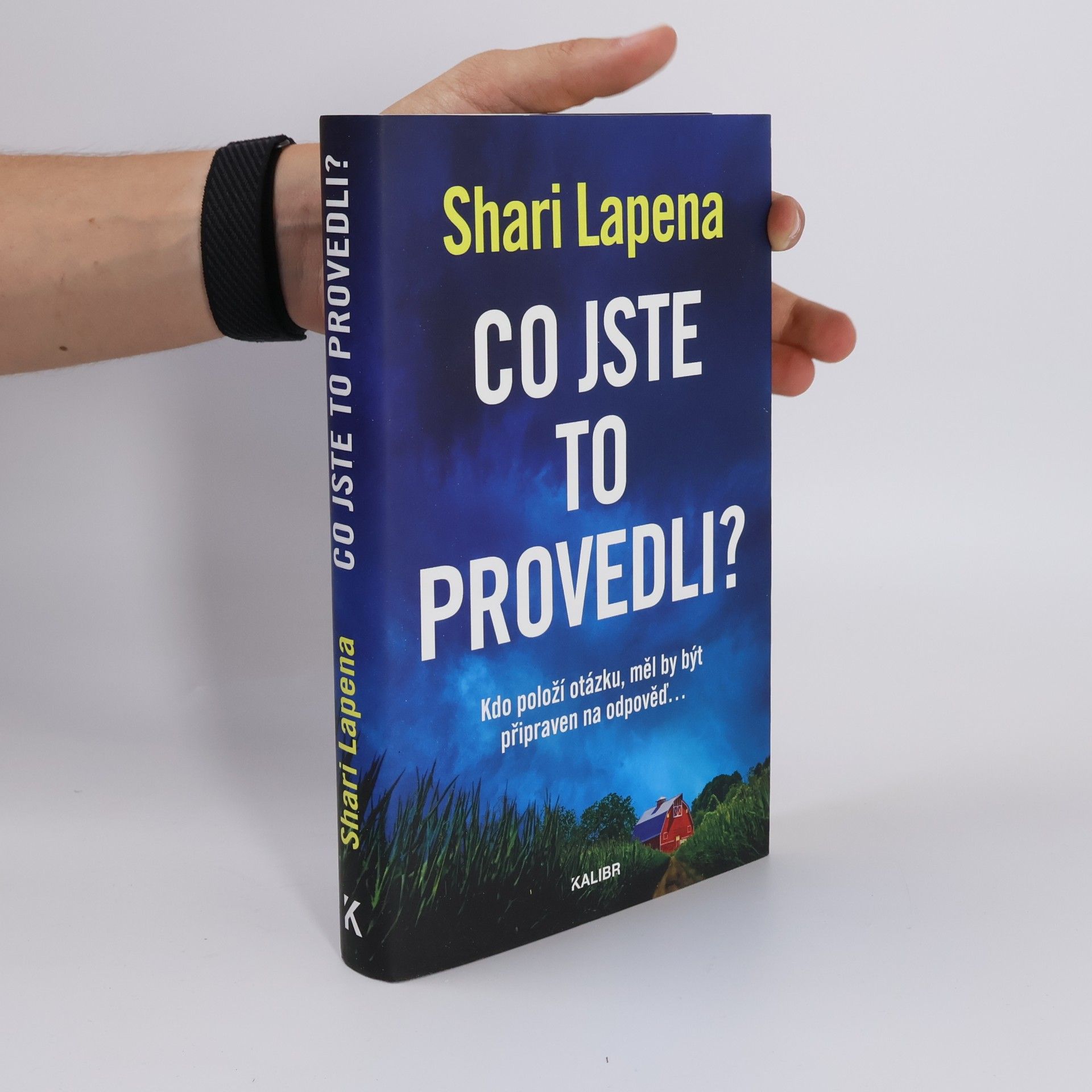 Shari Lapena Co jste to provedli?