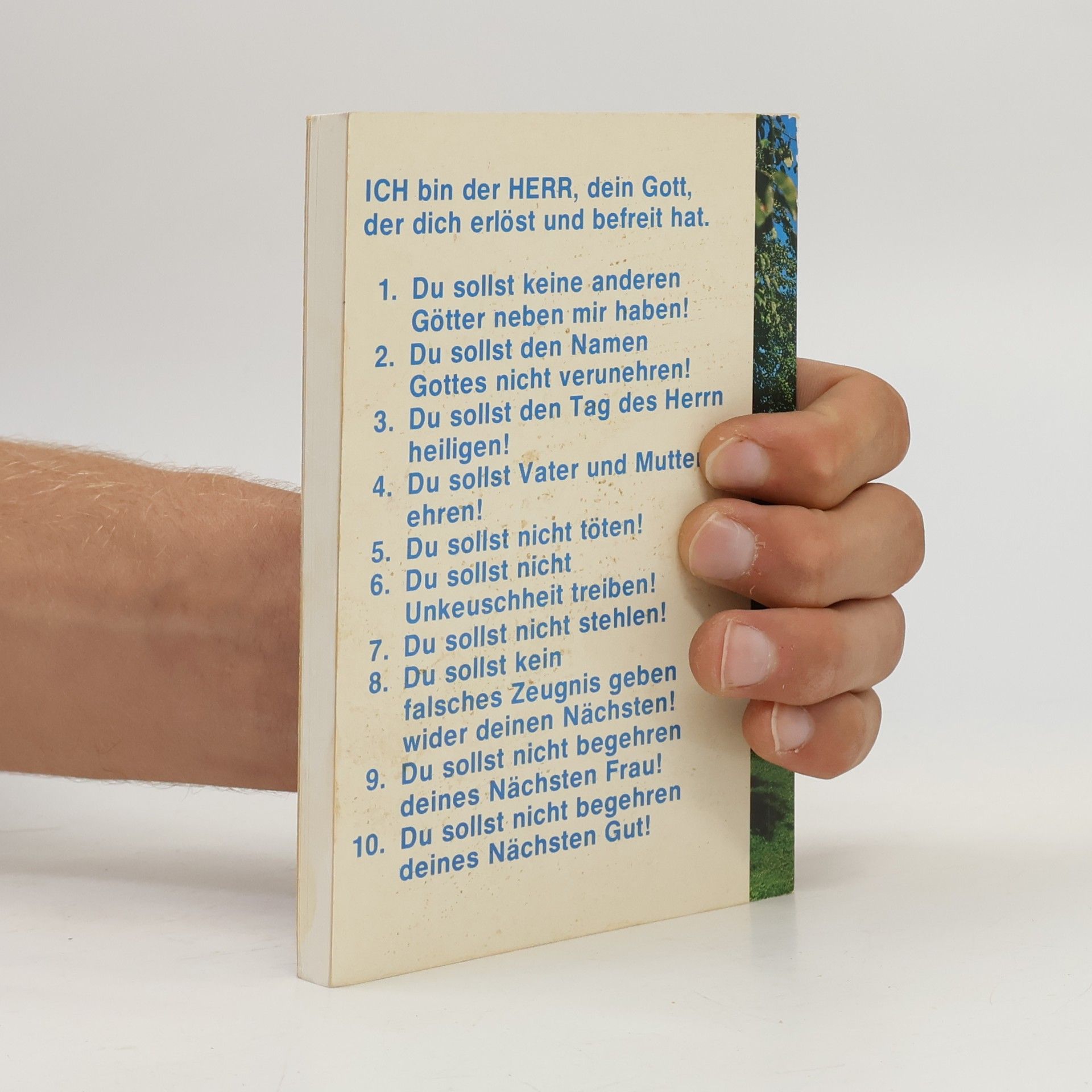 Herbert Madinger Die 10 Gebote Gottes