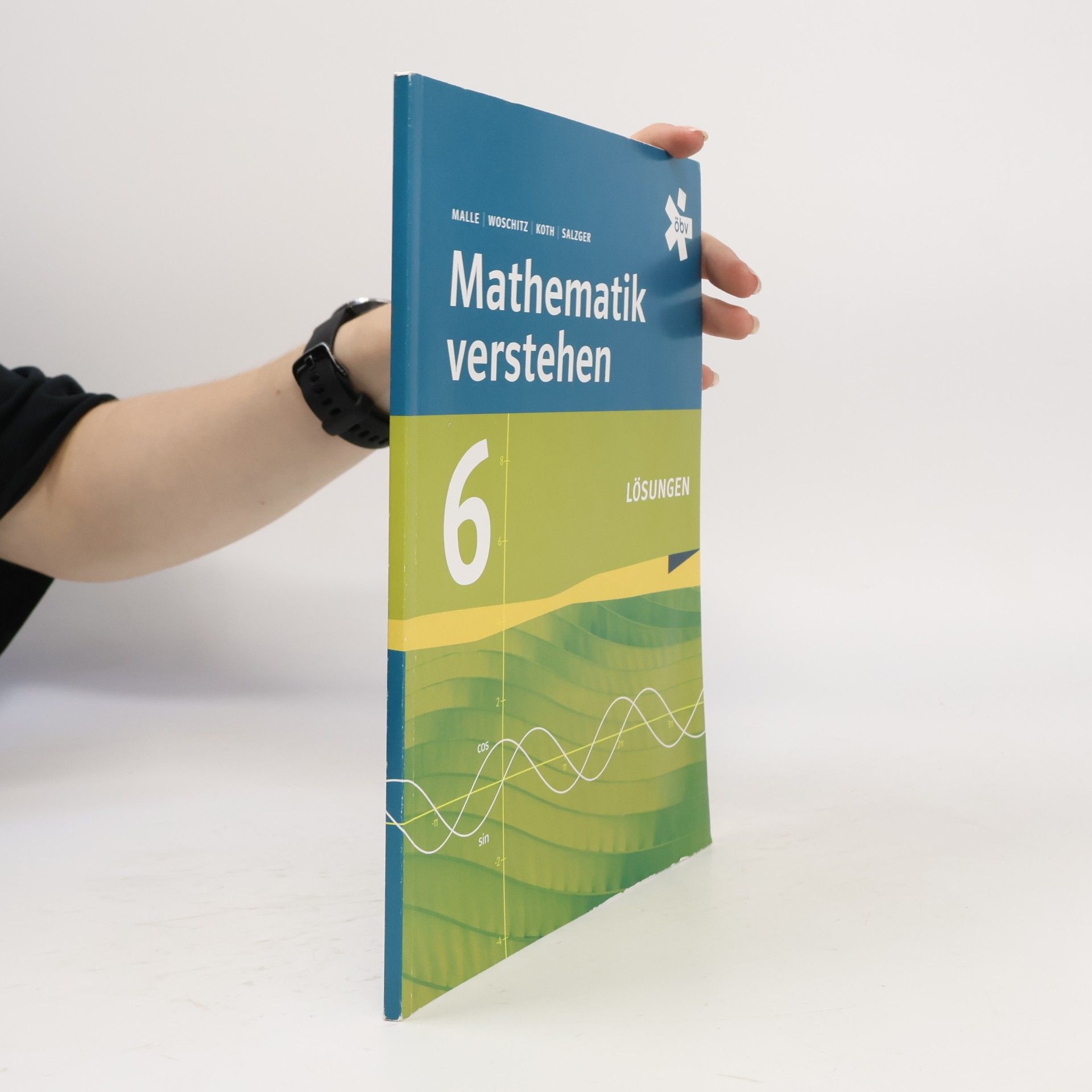 Collectif d'auteurs Mathematik Verstehen