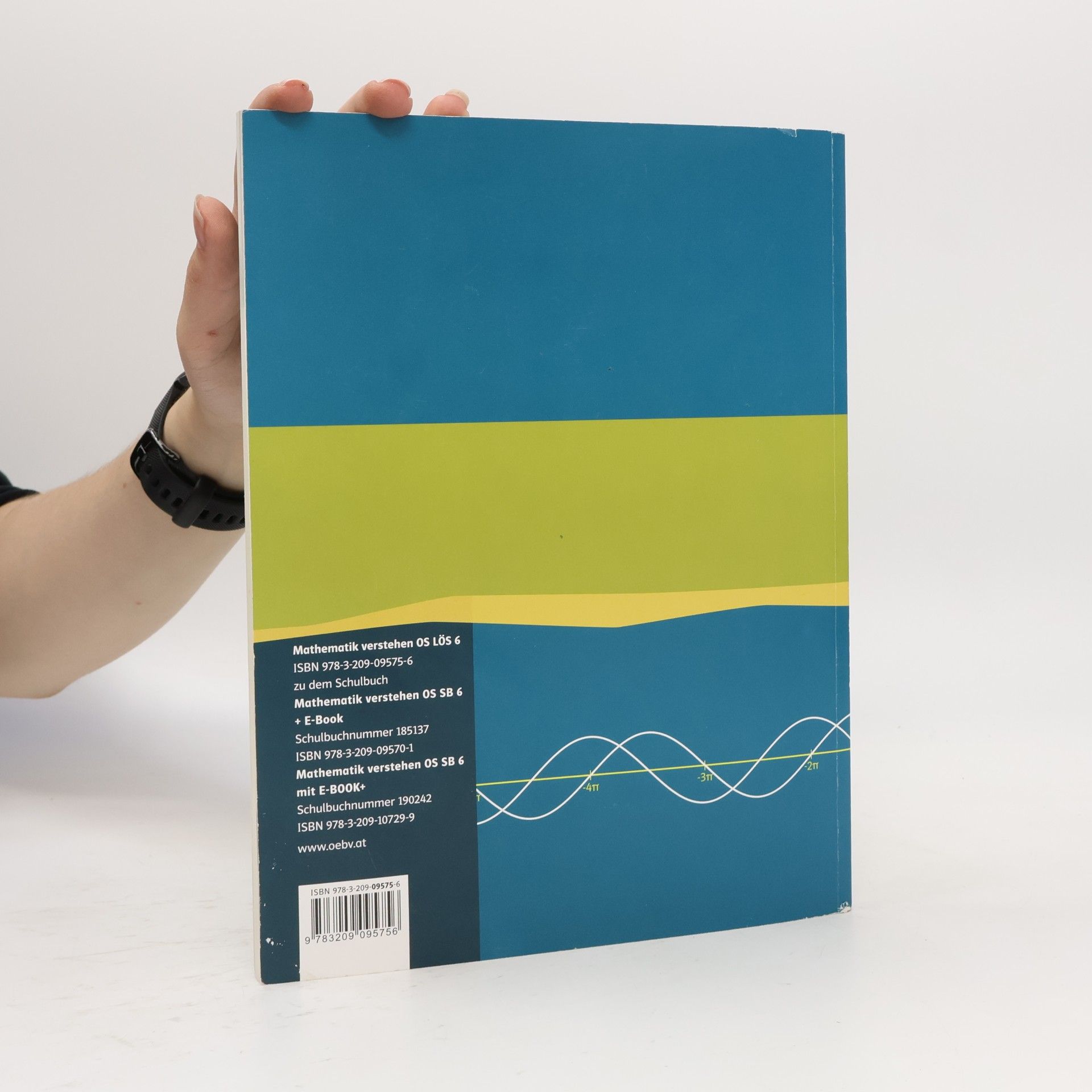 Collectif d'auteurs Mathematik Verstehen