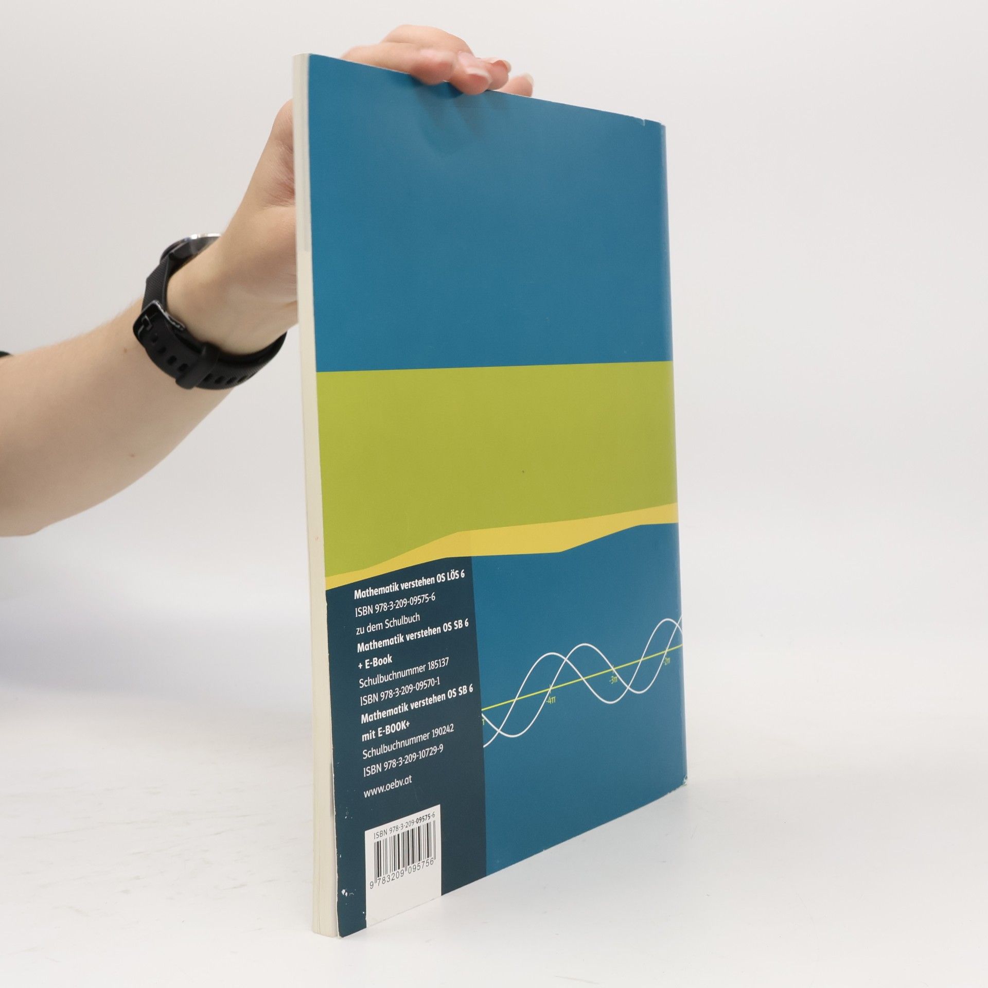 Collectif d'auteurs Mathematik Verstehen