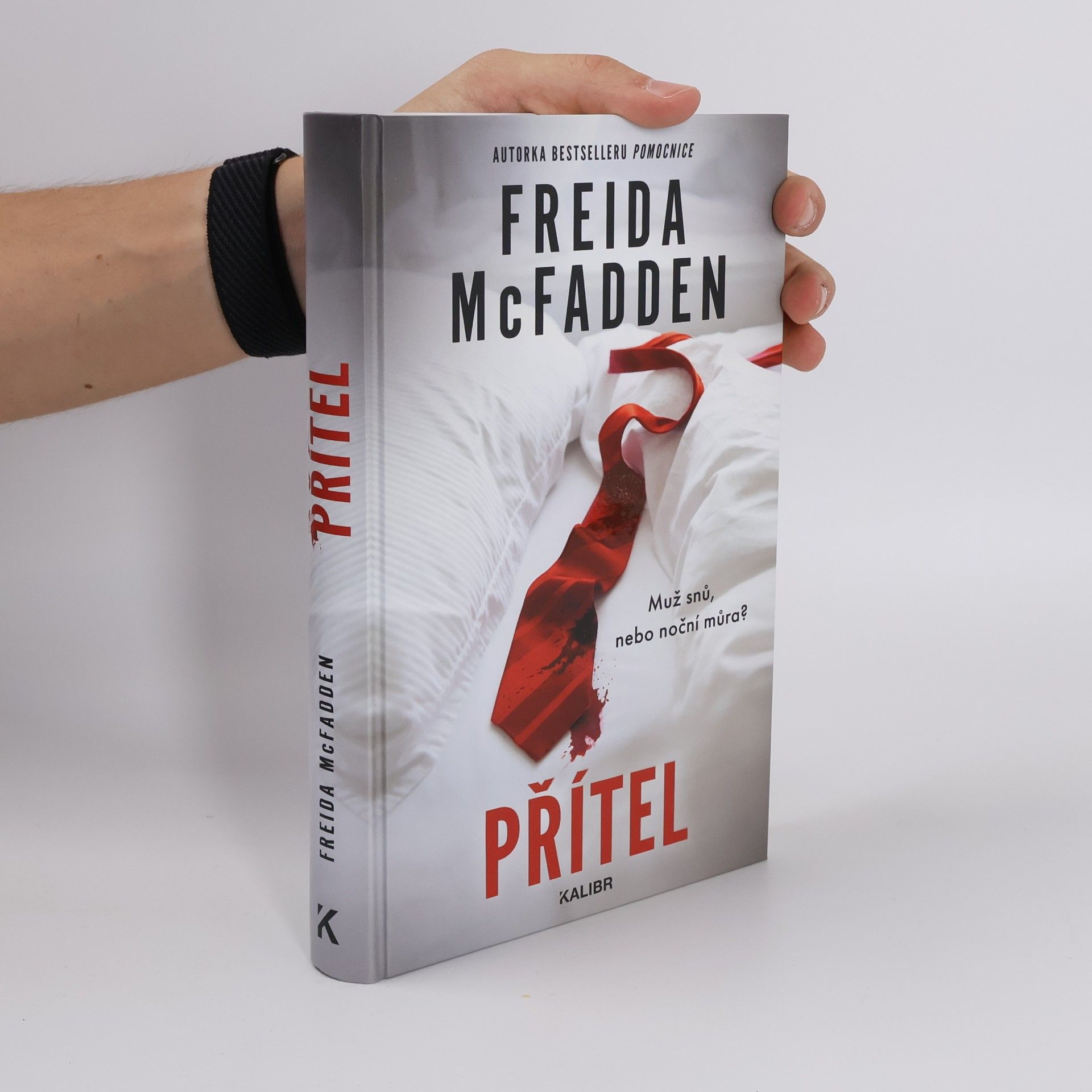 Freida McFadden Přítel