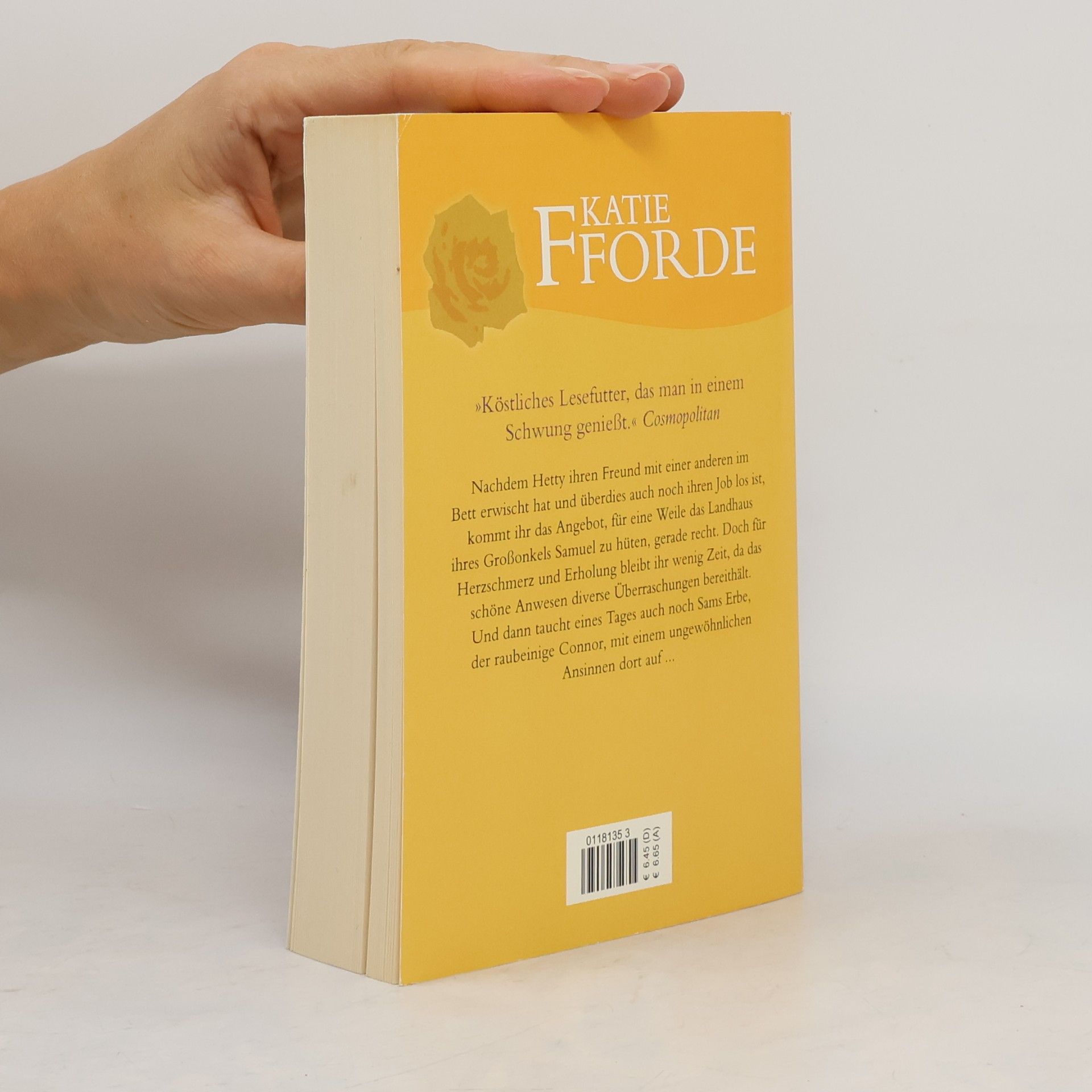 Katie Fforde Eine ungewöhnliche Begegnung
