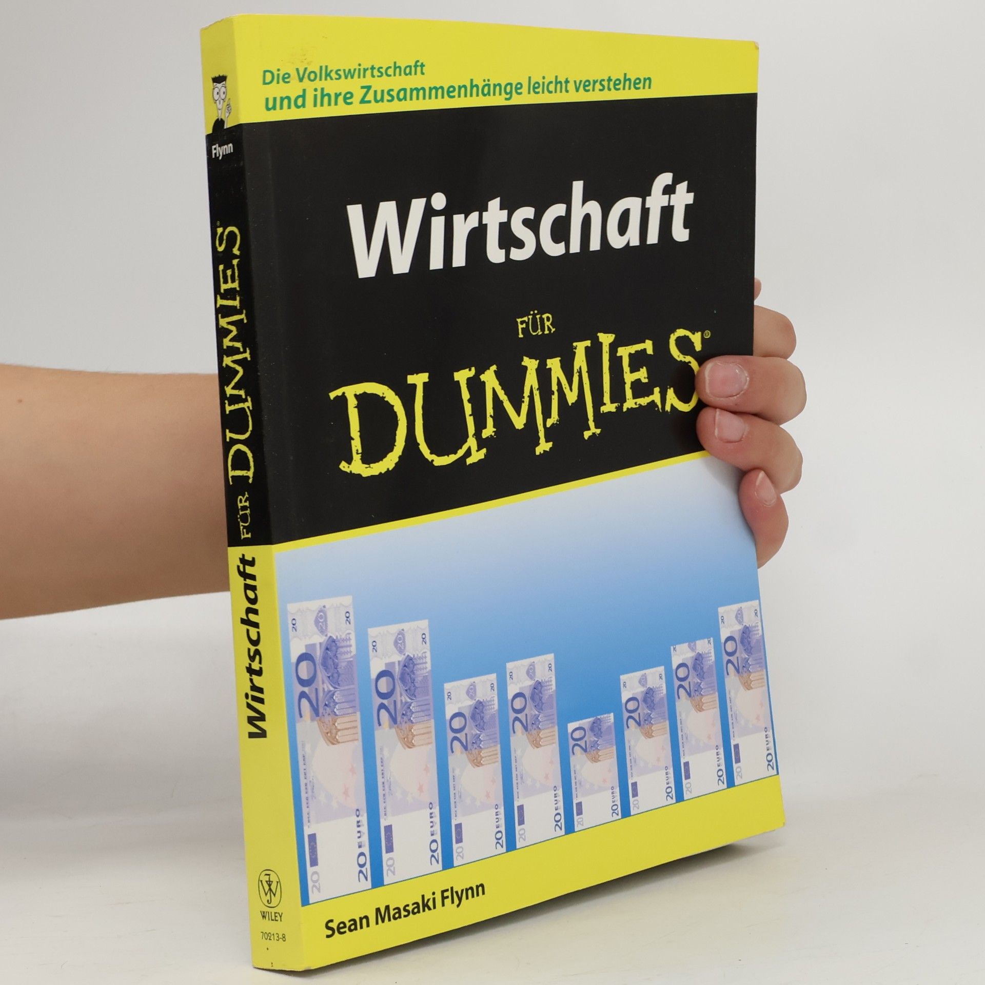 Sean Masaki Flynn Wirtschaft für Dummies