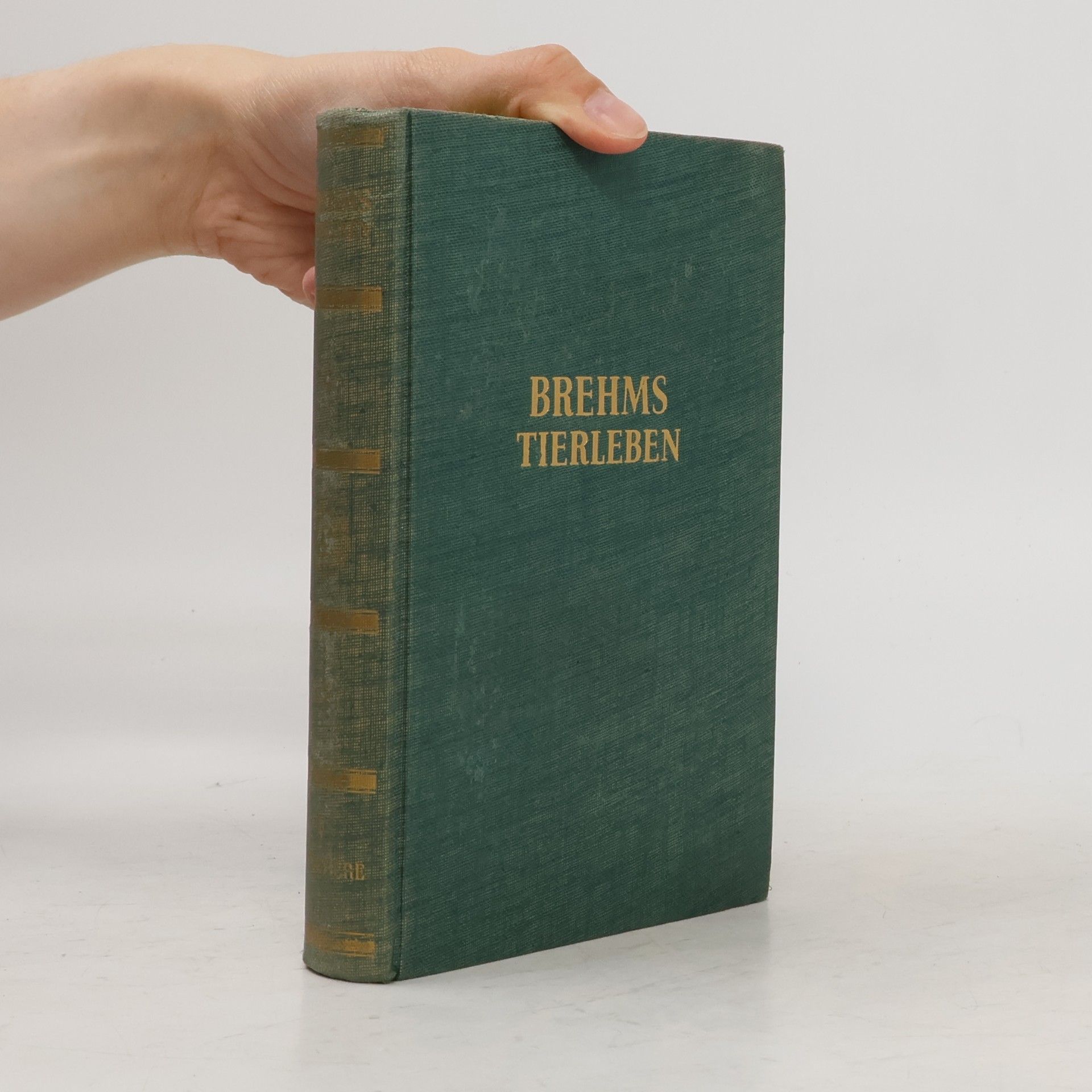 Brehms Thierleben 5