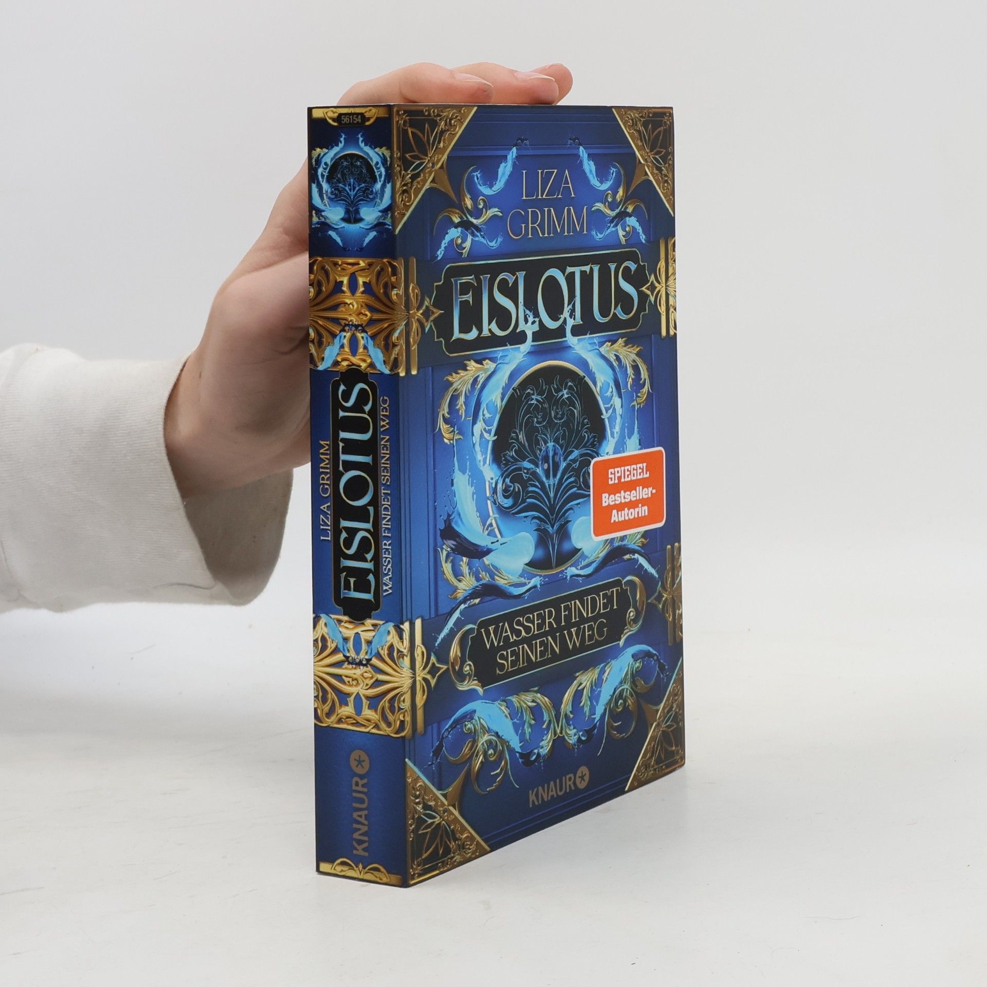 Liza Grimm Eislotus. Wasser findet seinen Weg