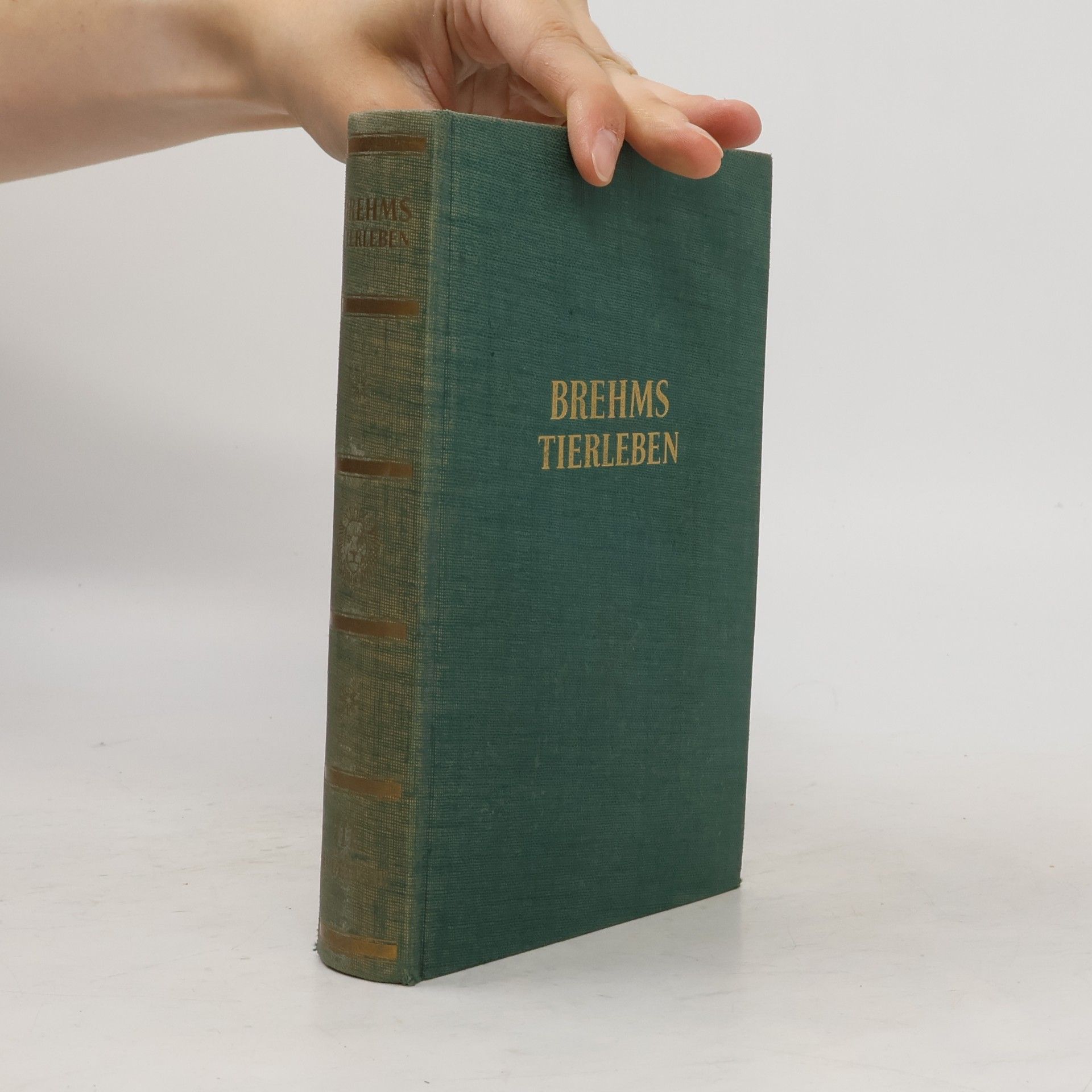 Alfred Edmund Brehm Brehms Tierleben 3. Säugetiere III