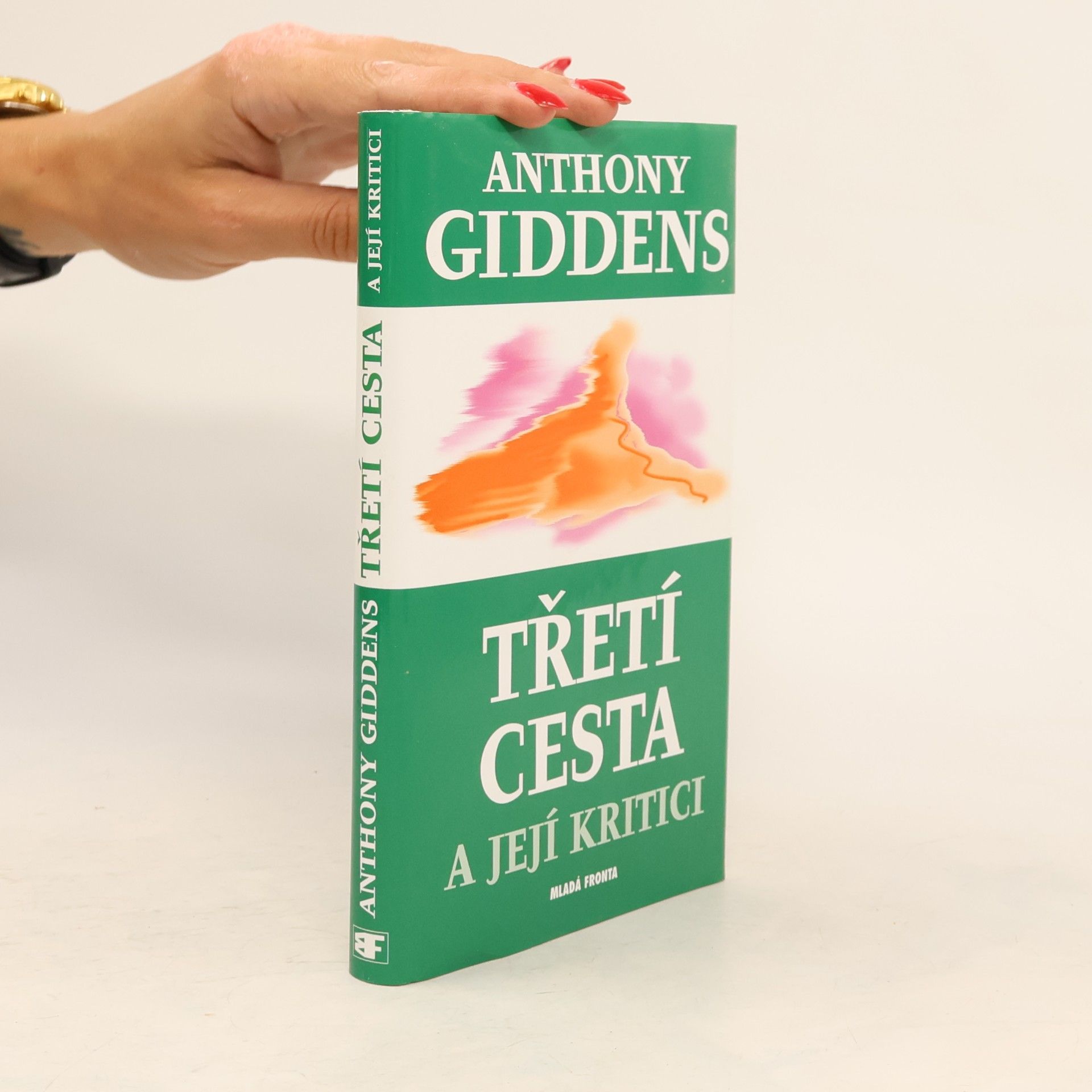 Anthony Giddens Třetí cesta a její kritici