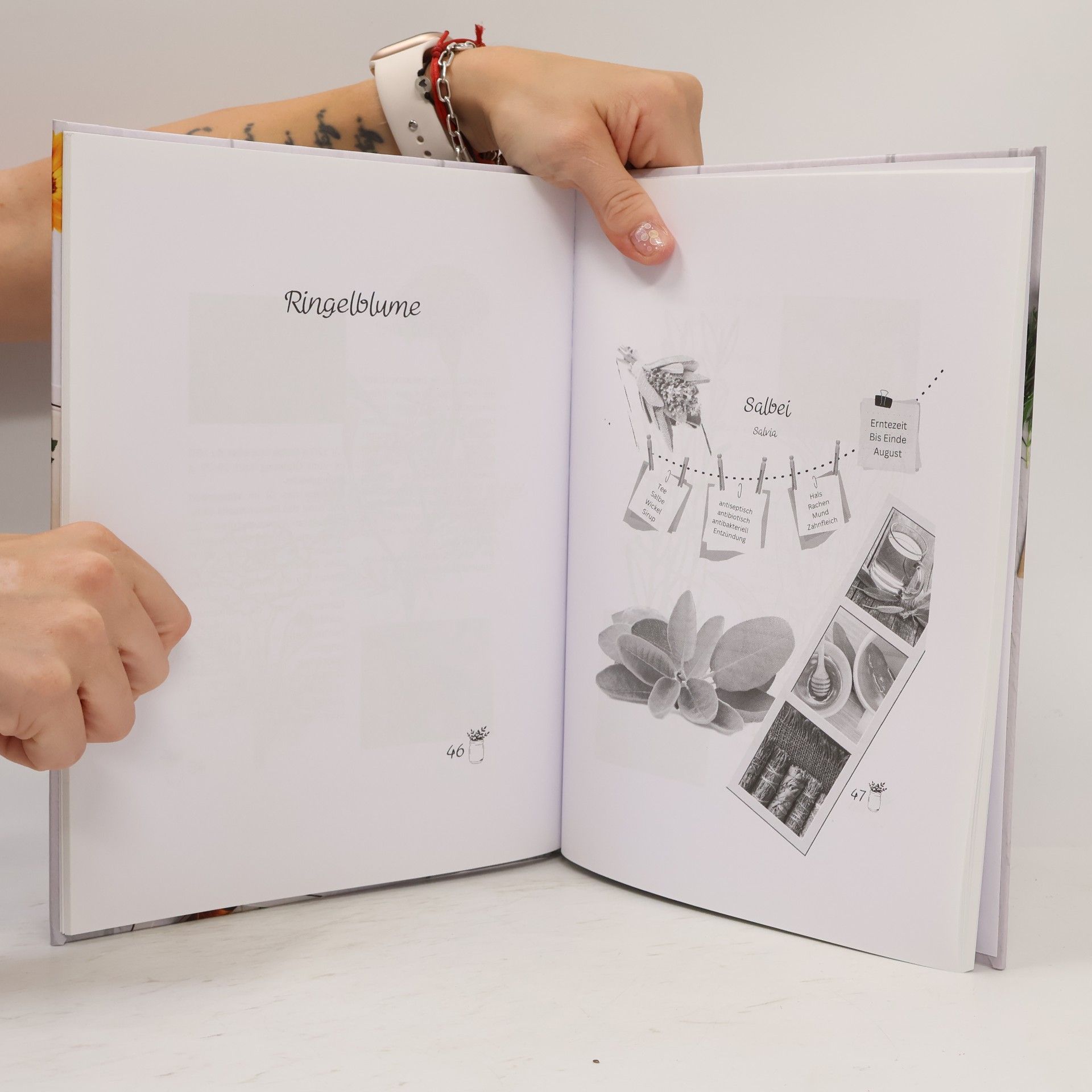 Mama Claudi Heilpflanzen Herbarium