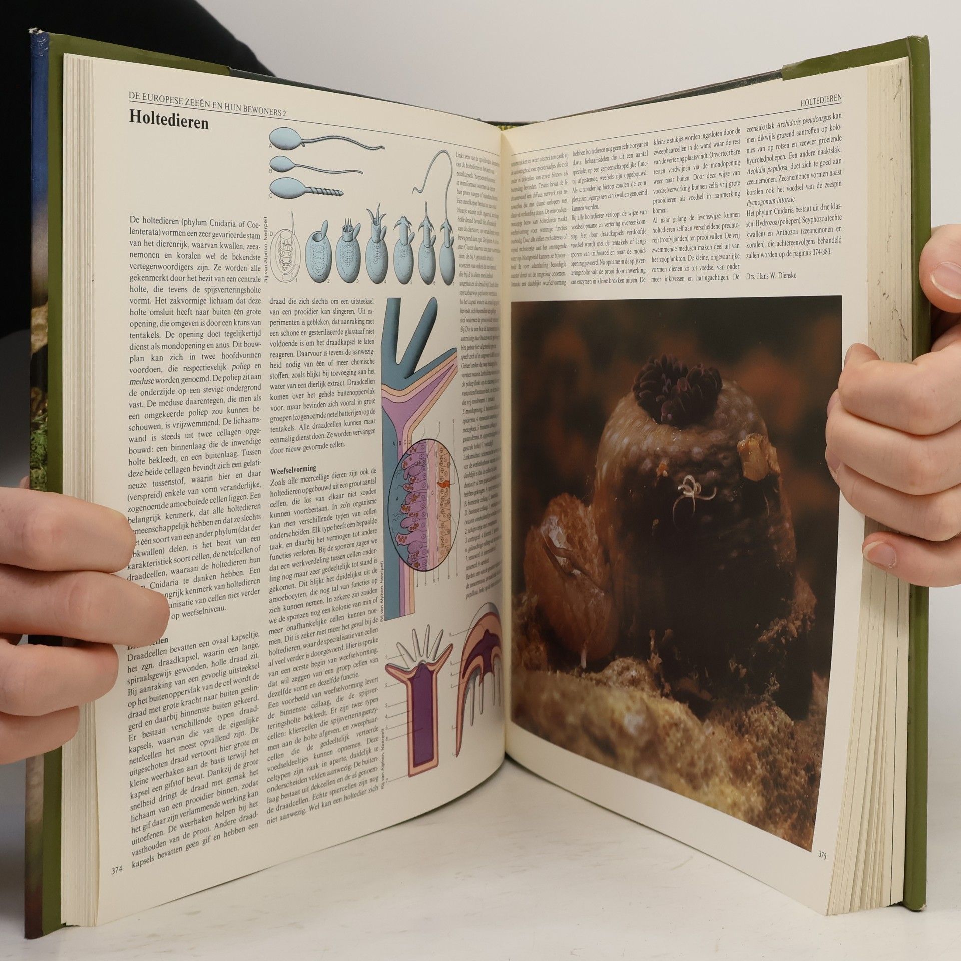 Auteurscollectief Encyclopedie van de natuur van Europa 2