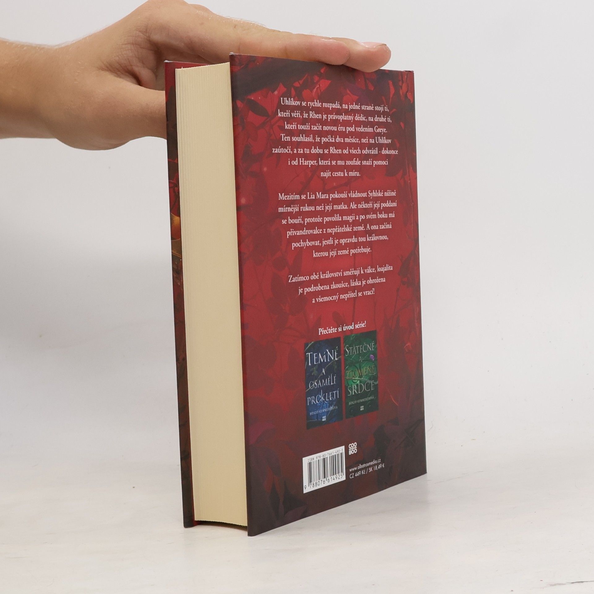 Brigid Kemmerer Odvážná a smrtící přísaha