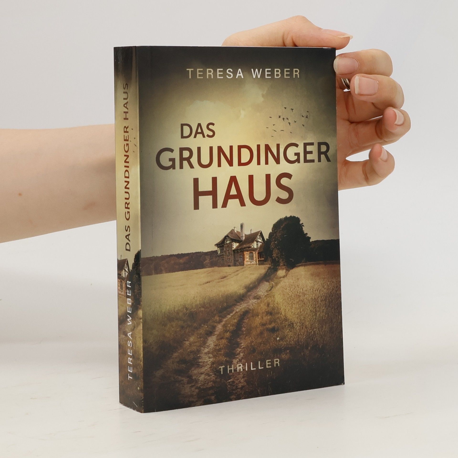 Teresa Weber Das grundiger Haus