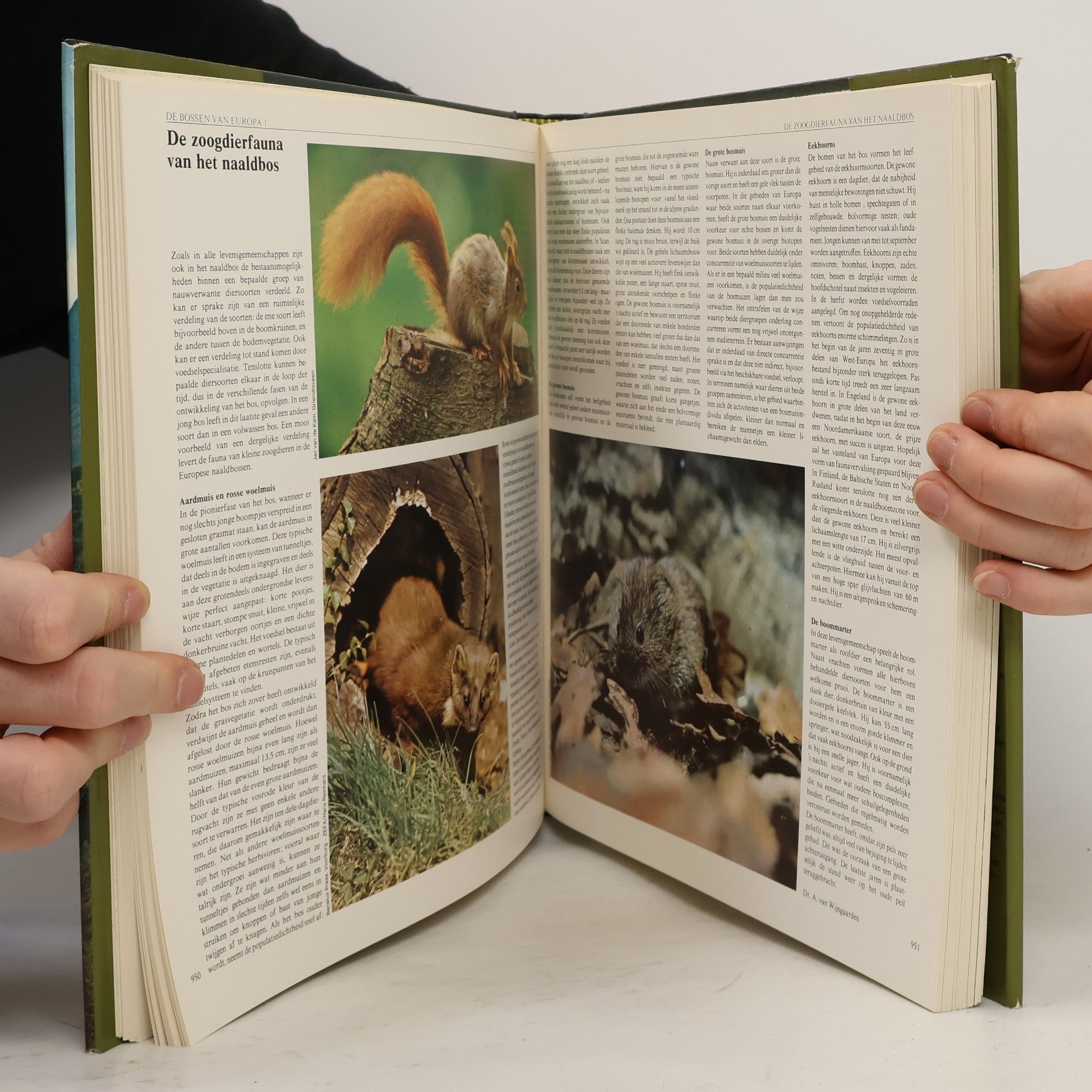 Auteurscollectief Encyclopedie van de natuur van Europa 4