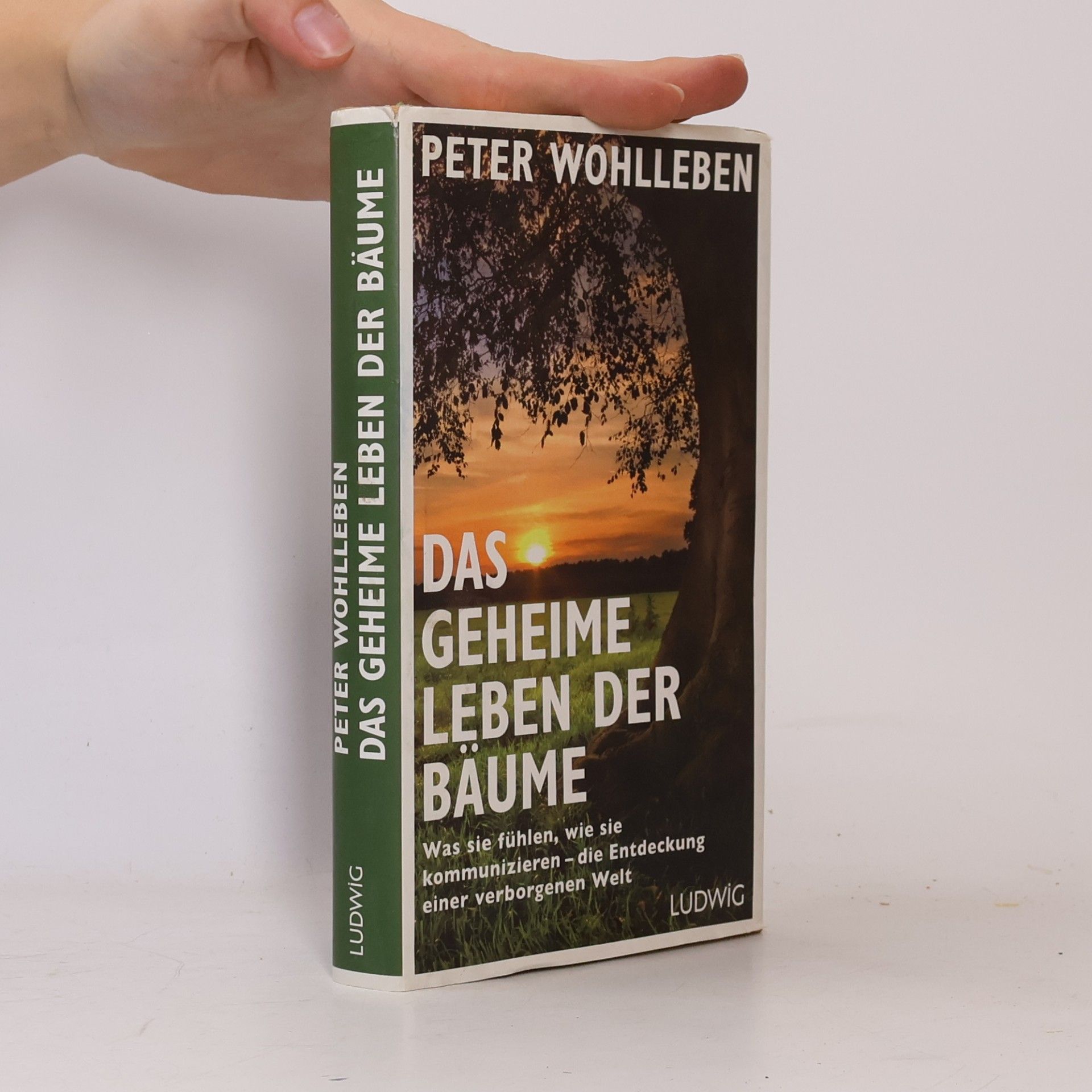 Das geheime Leben der Bäume
