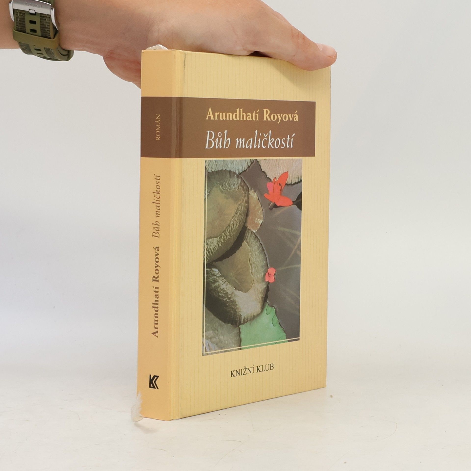 Arundhati Roy Bůh maličkostí