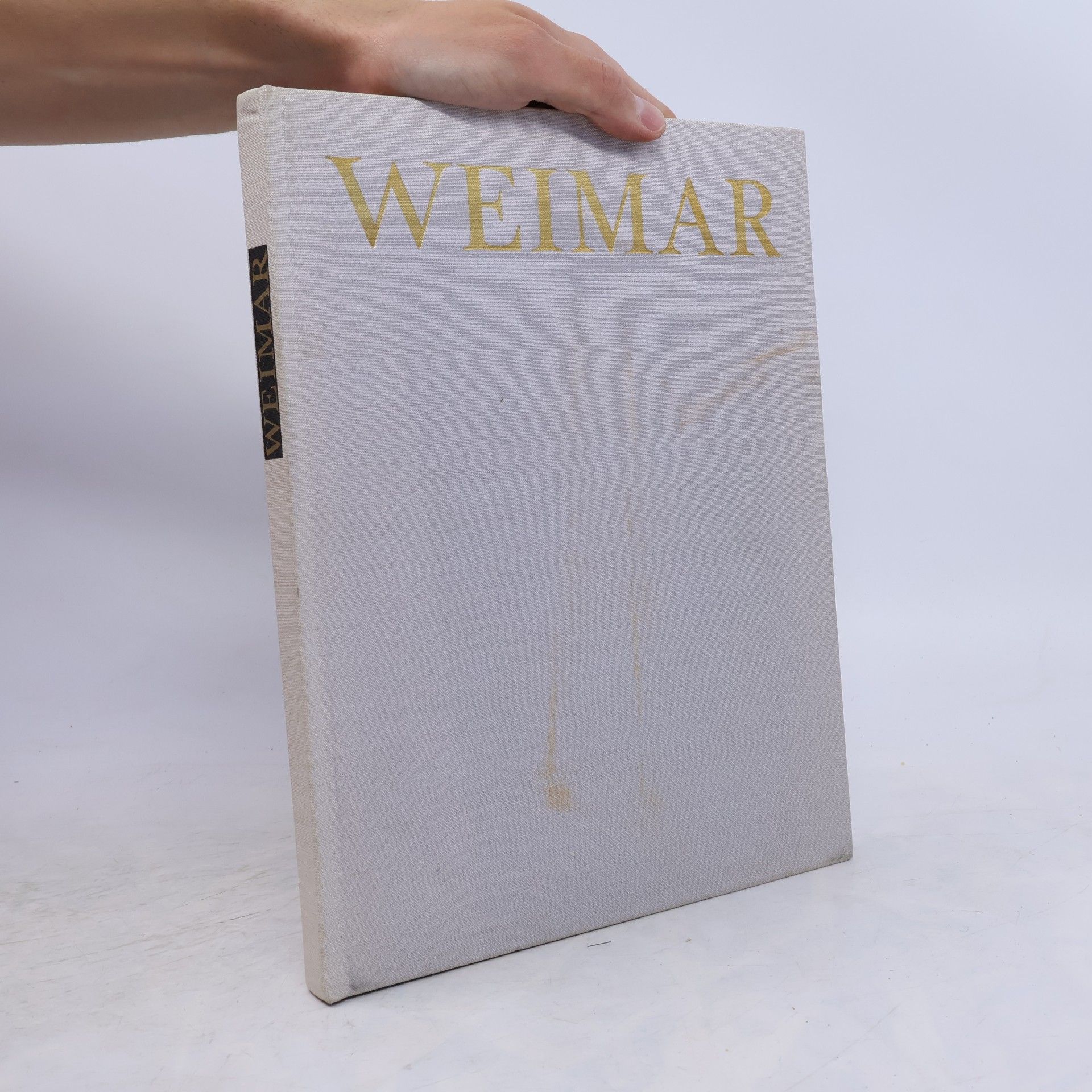 Theo Piana Weimar