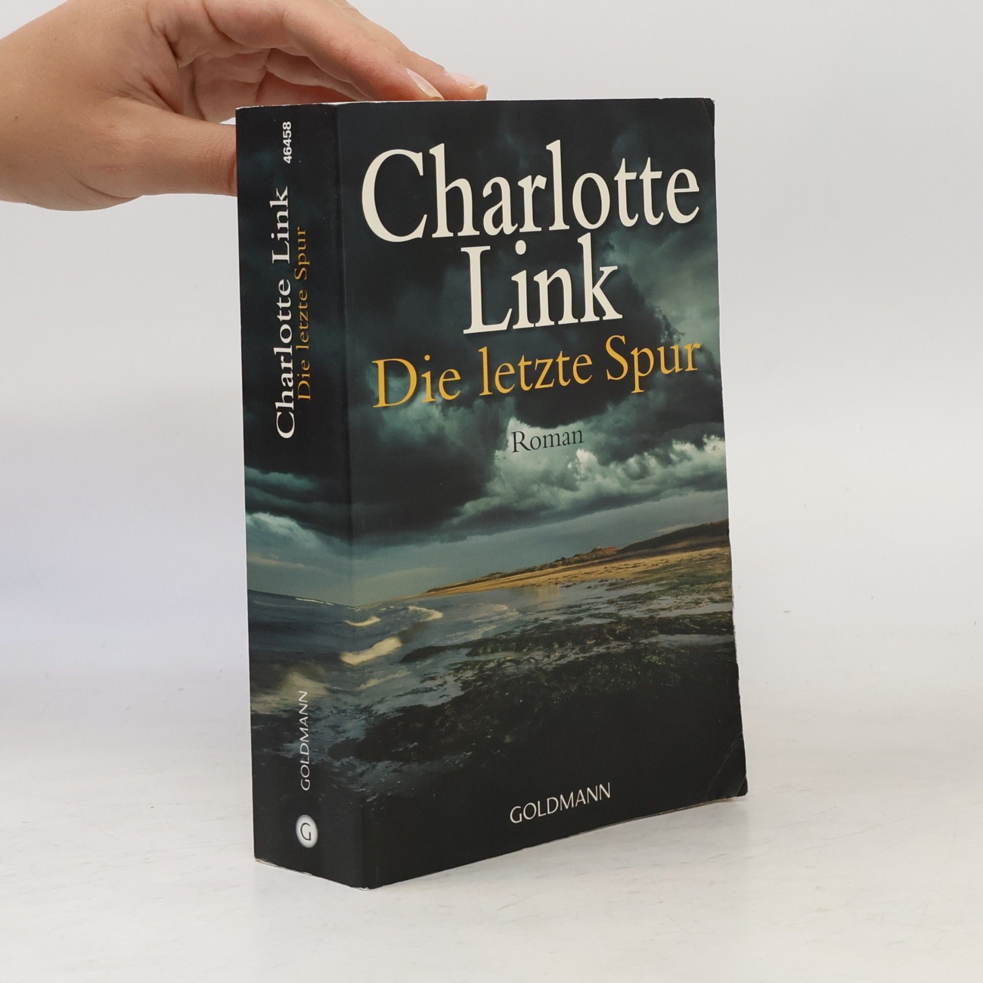 Charlotte Link Die letzte Spur