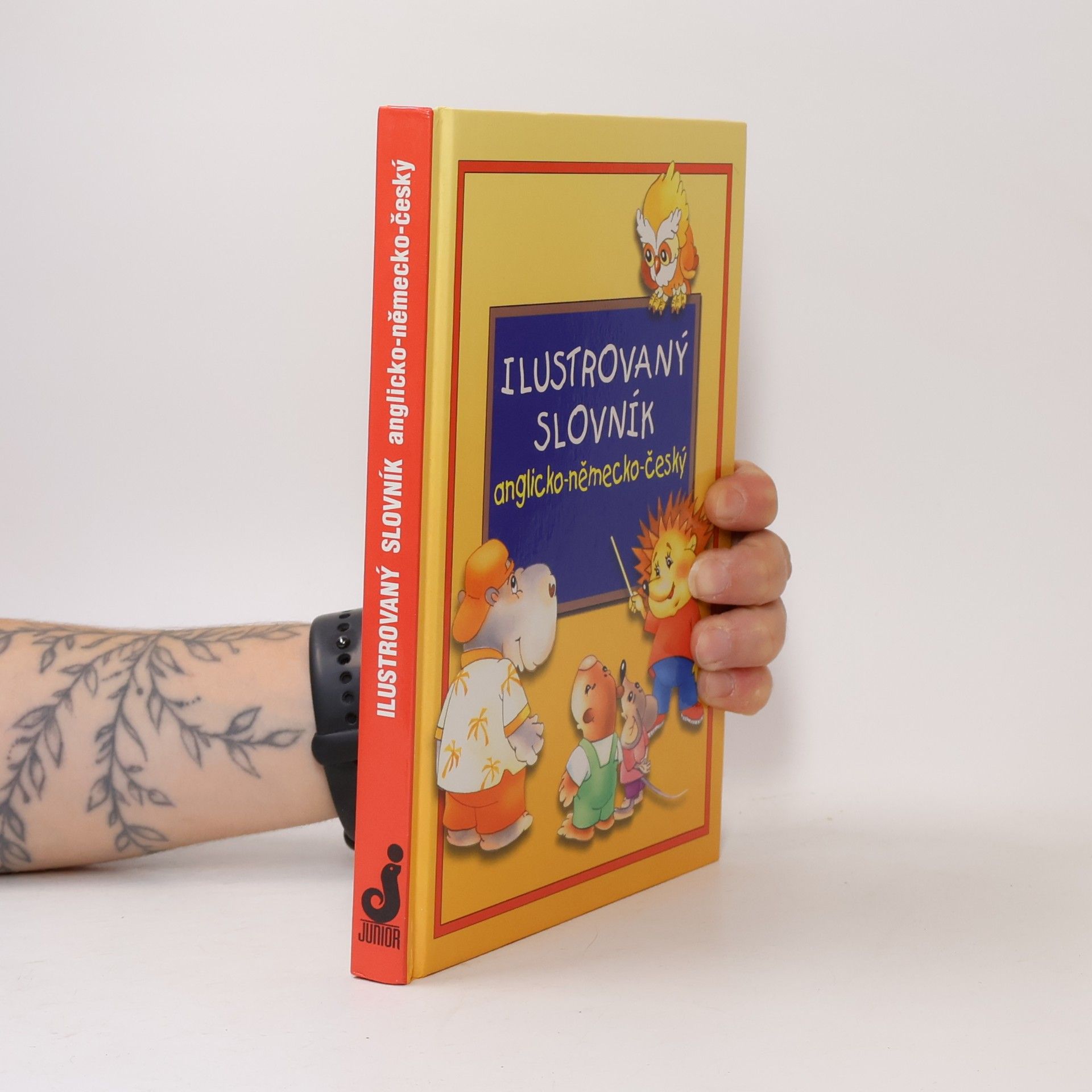 Alena Amchová Ilustrovaný slovník anglicko-německo-český
