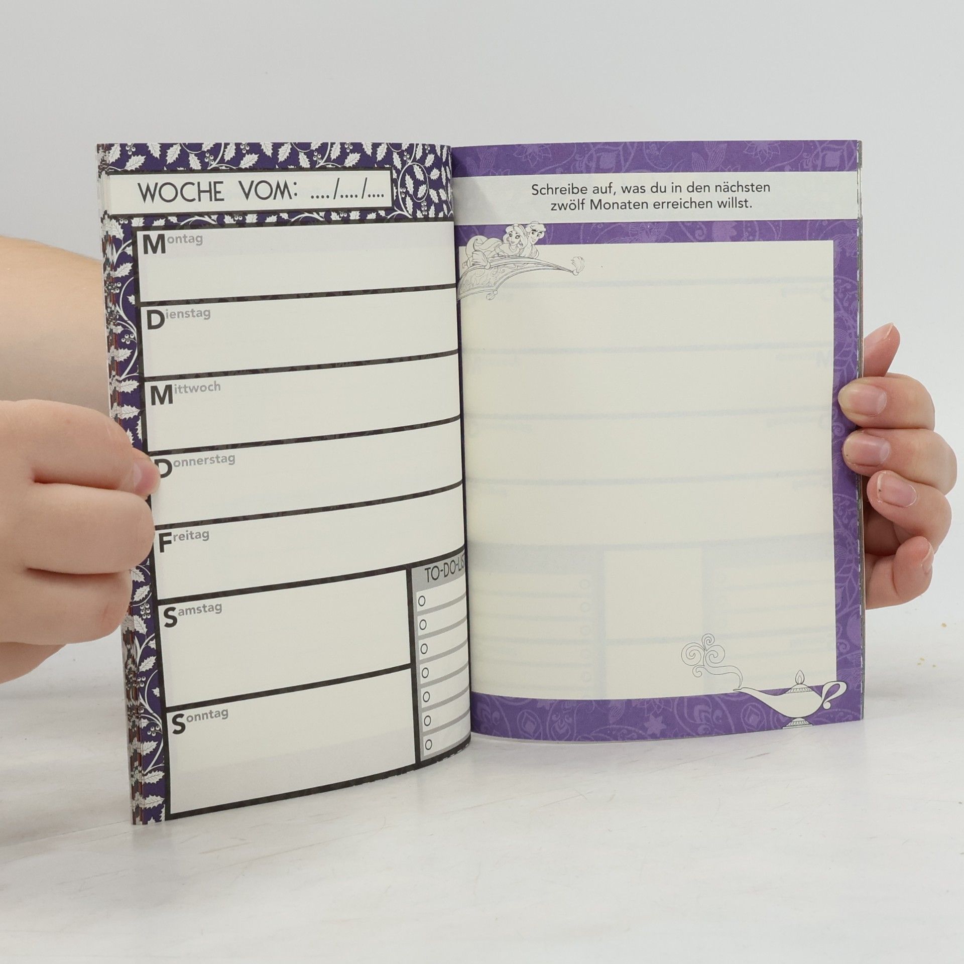 Walt Disney Das magische Tagebuch