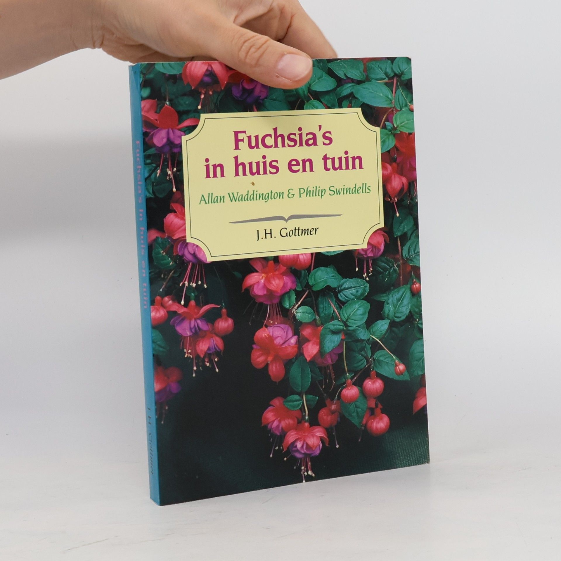 Fuchsia's in huis en tuin