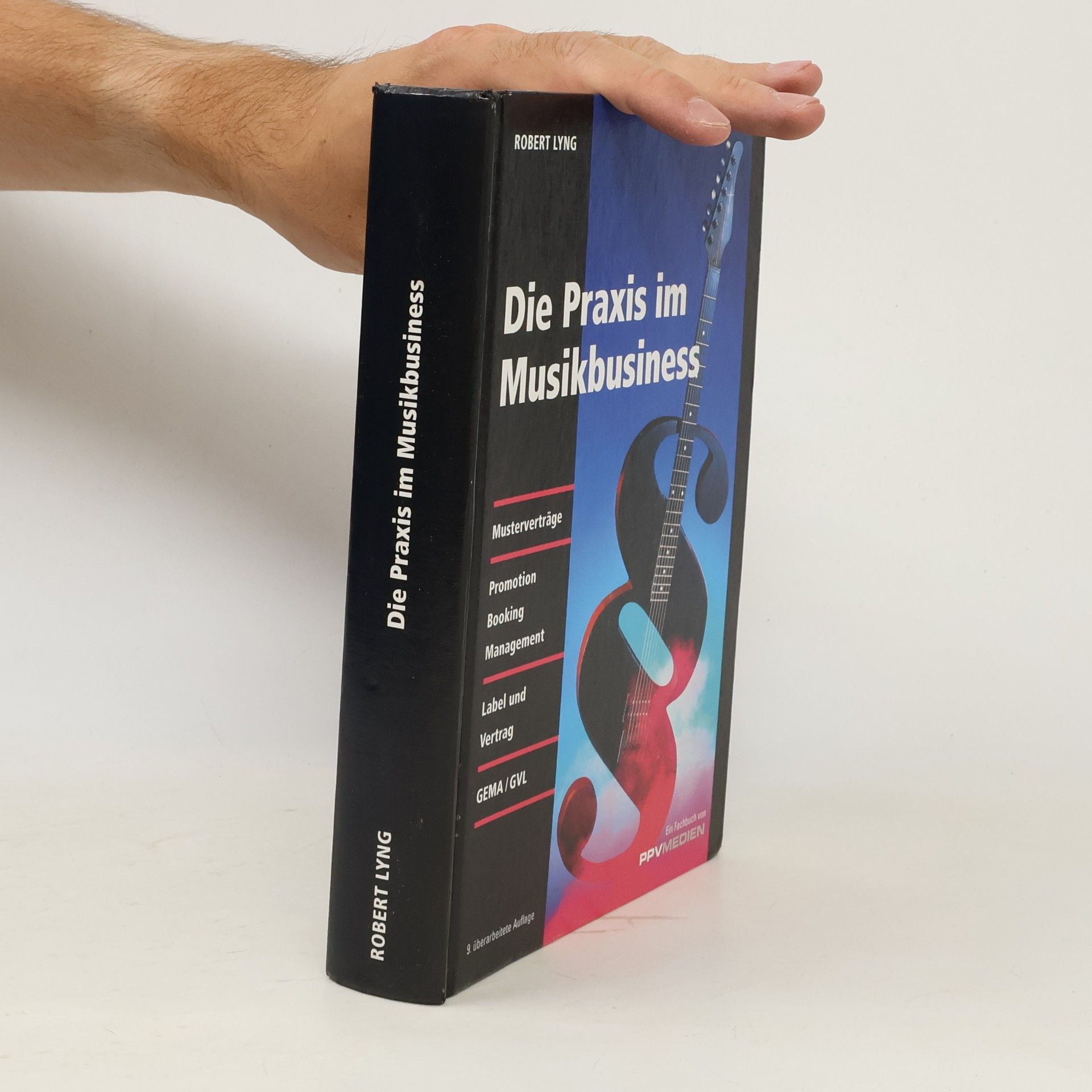 Robert Lyng Die Praxis im Musikbusiness