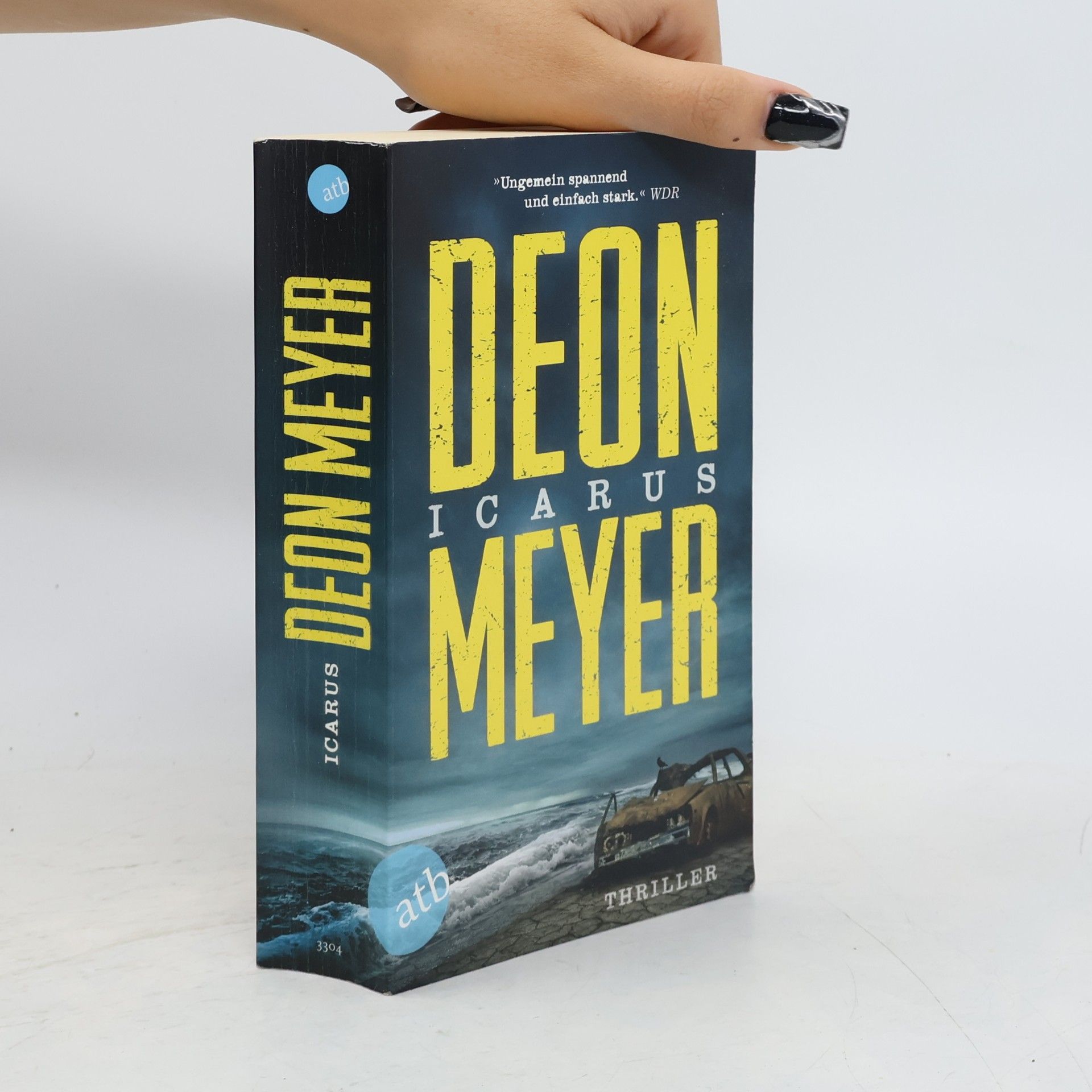 Deon Meyer Icarus