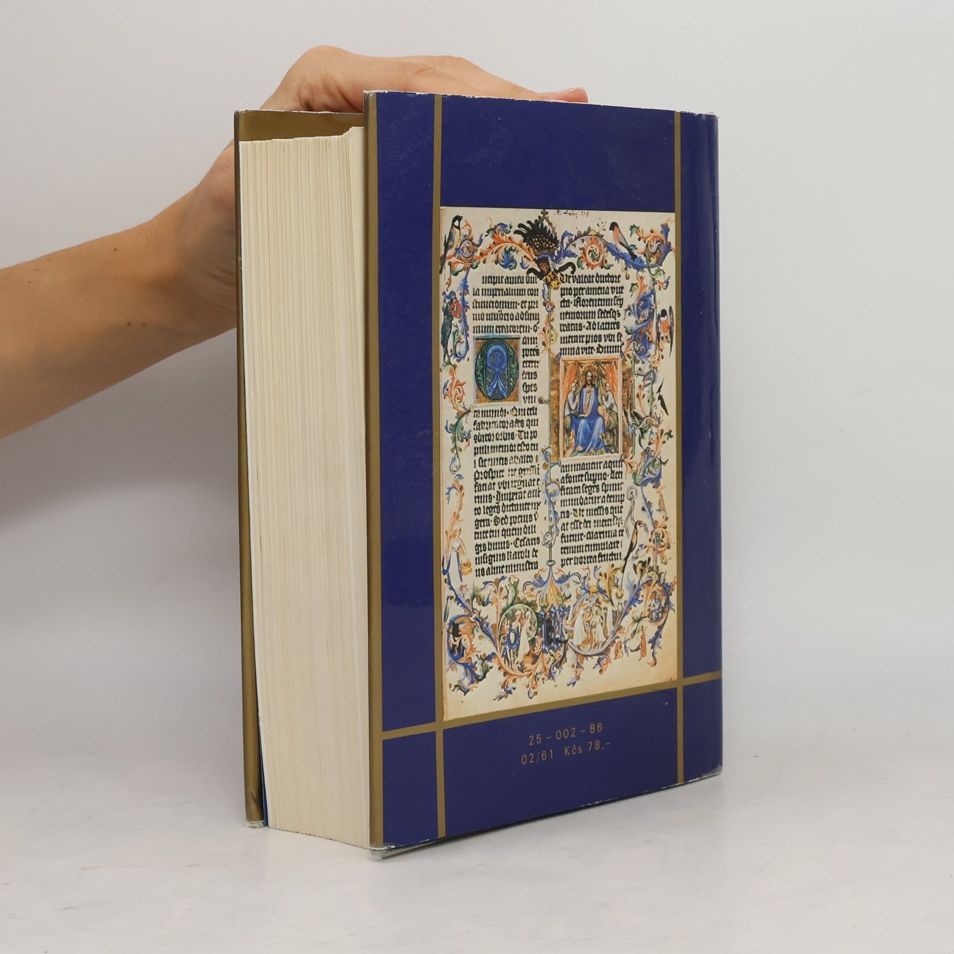 Jiří Spěváček Václav IV. 1361-1419