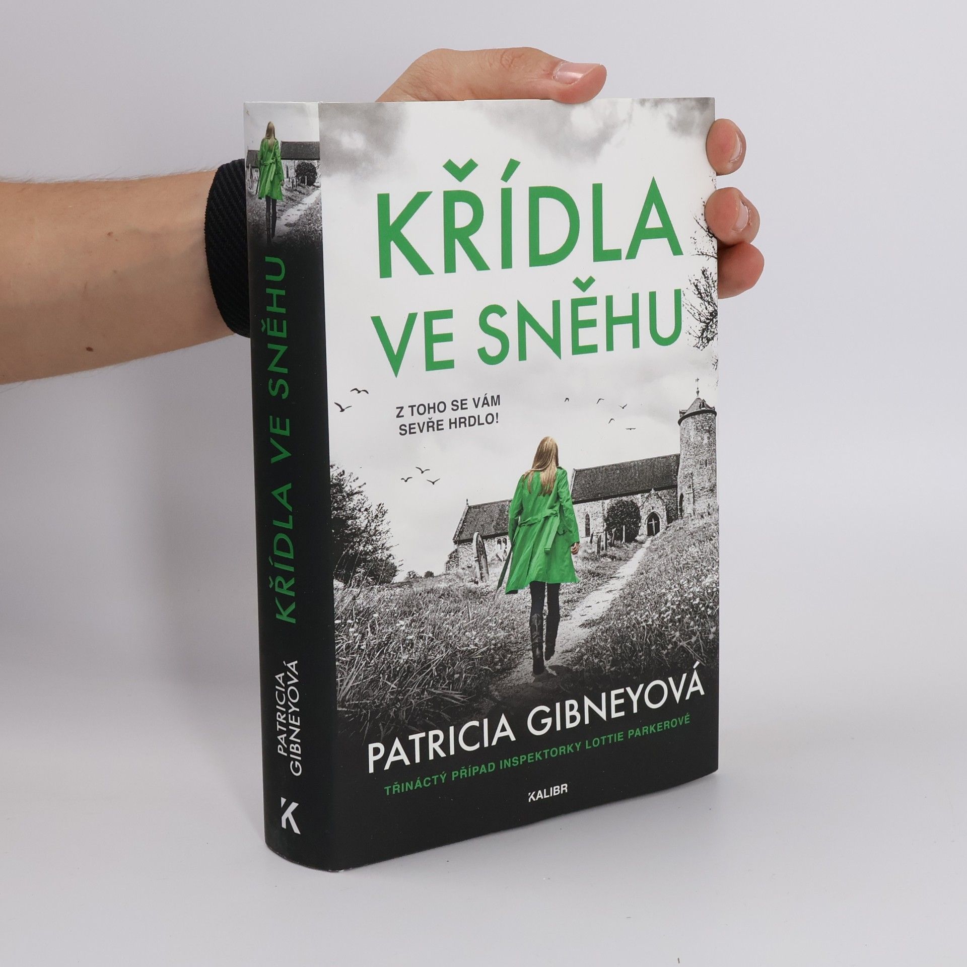 Křídla ve sněhu